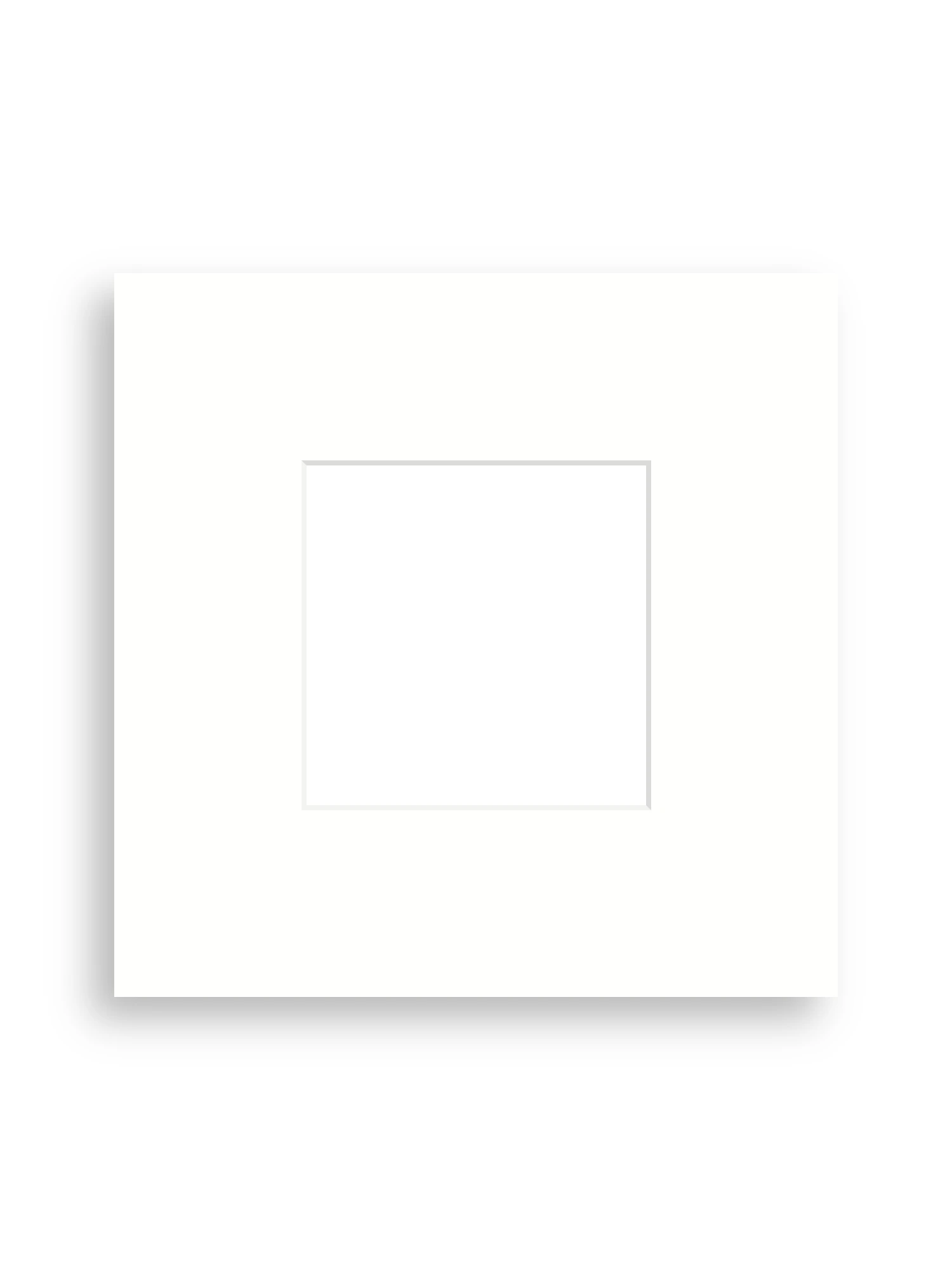 600 × 600 mm Picture Mount for 300 × 300 mm Artwork