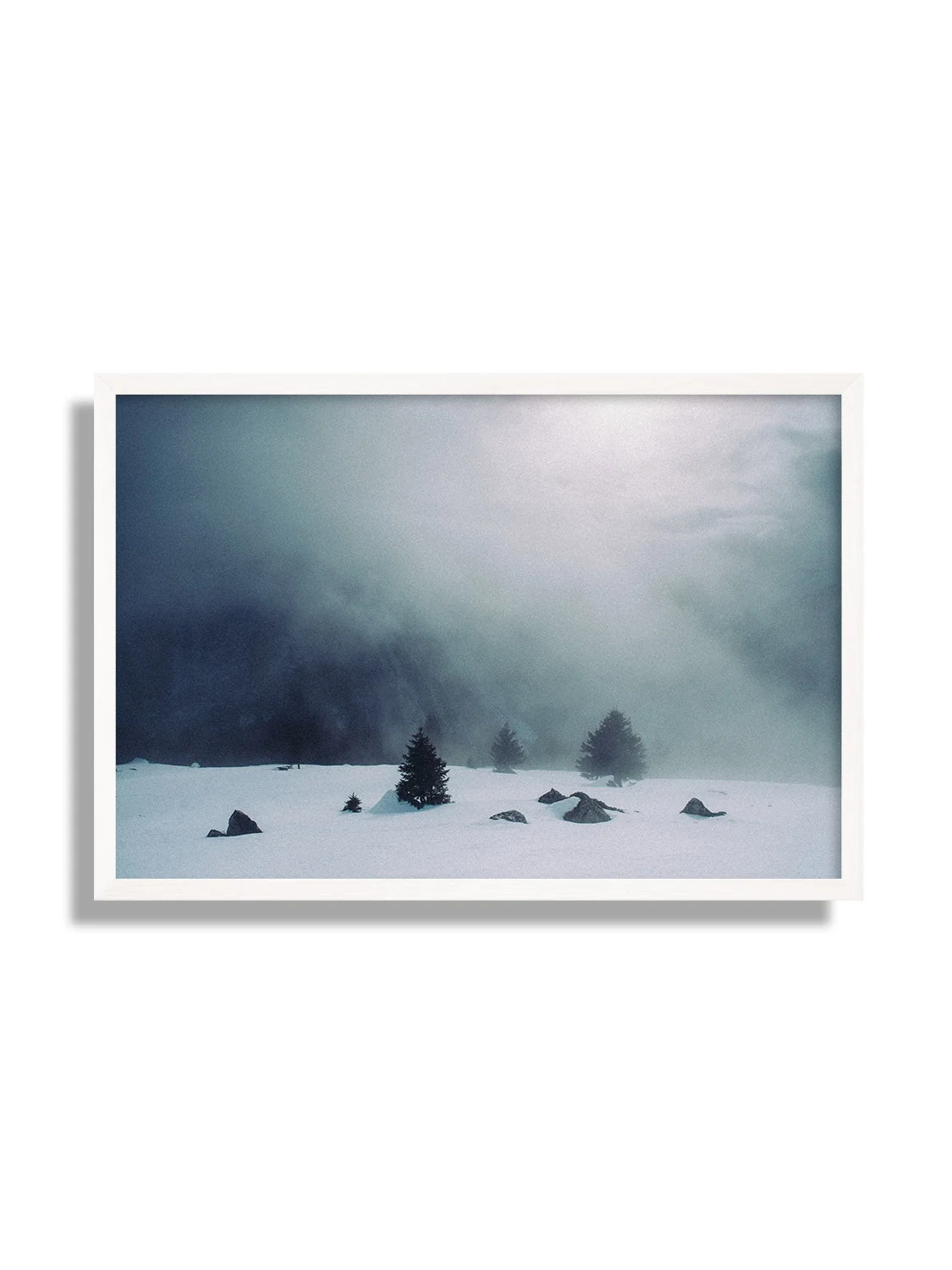 Arp - Valentin Meaux - Image 5