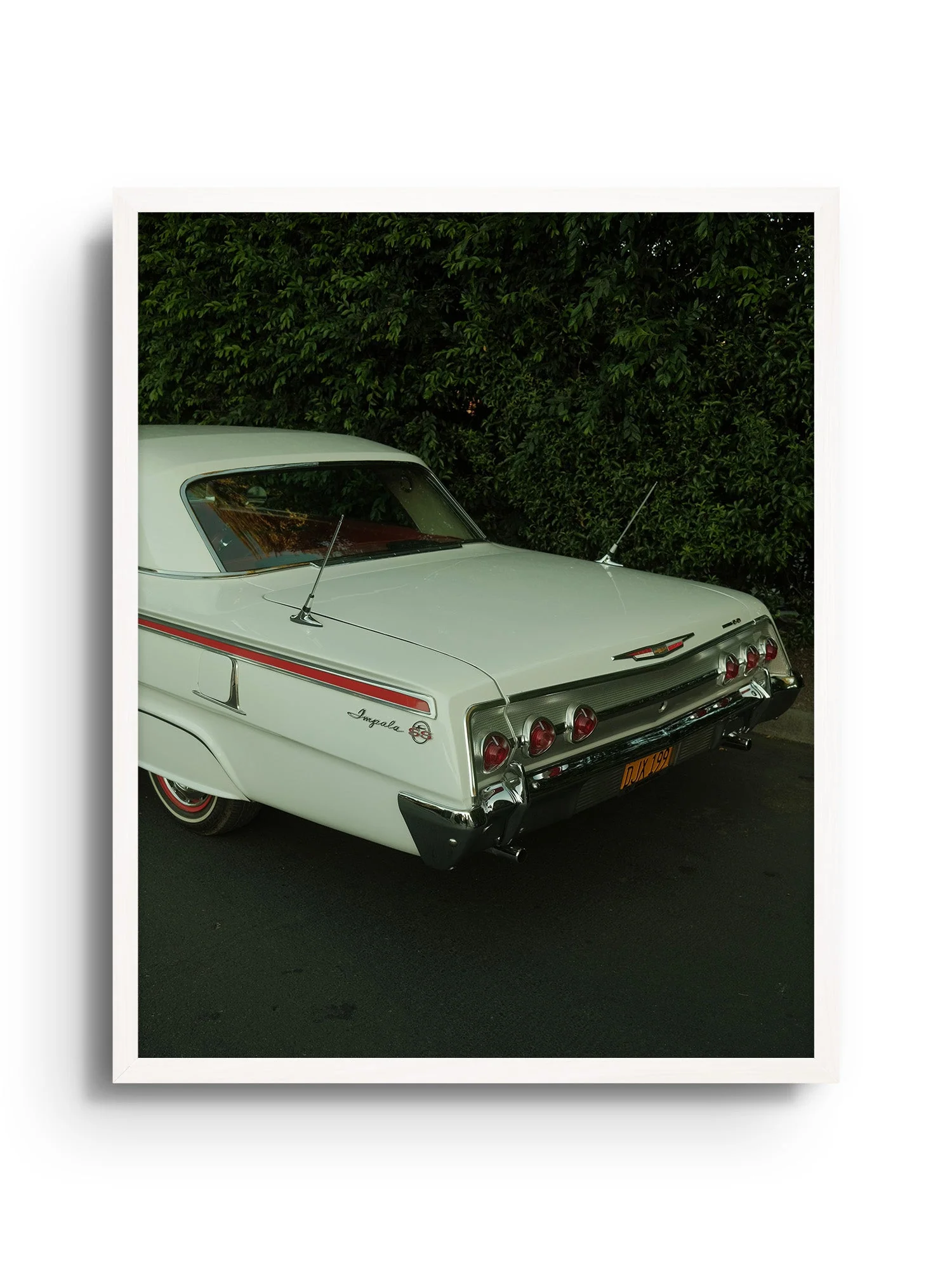 Impala Mama - Gelstang - Image 5