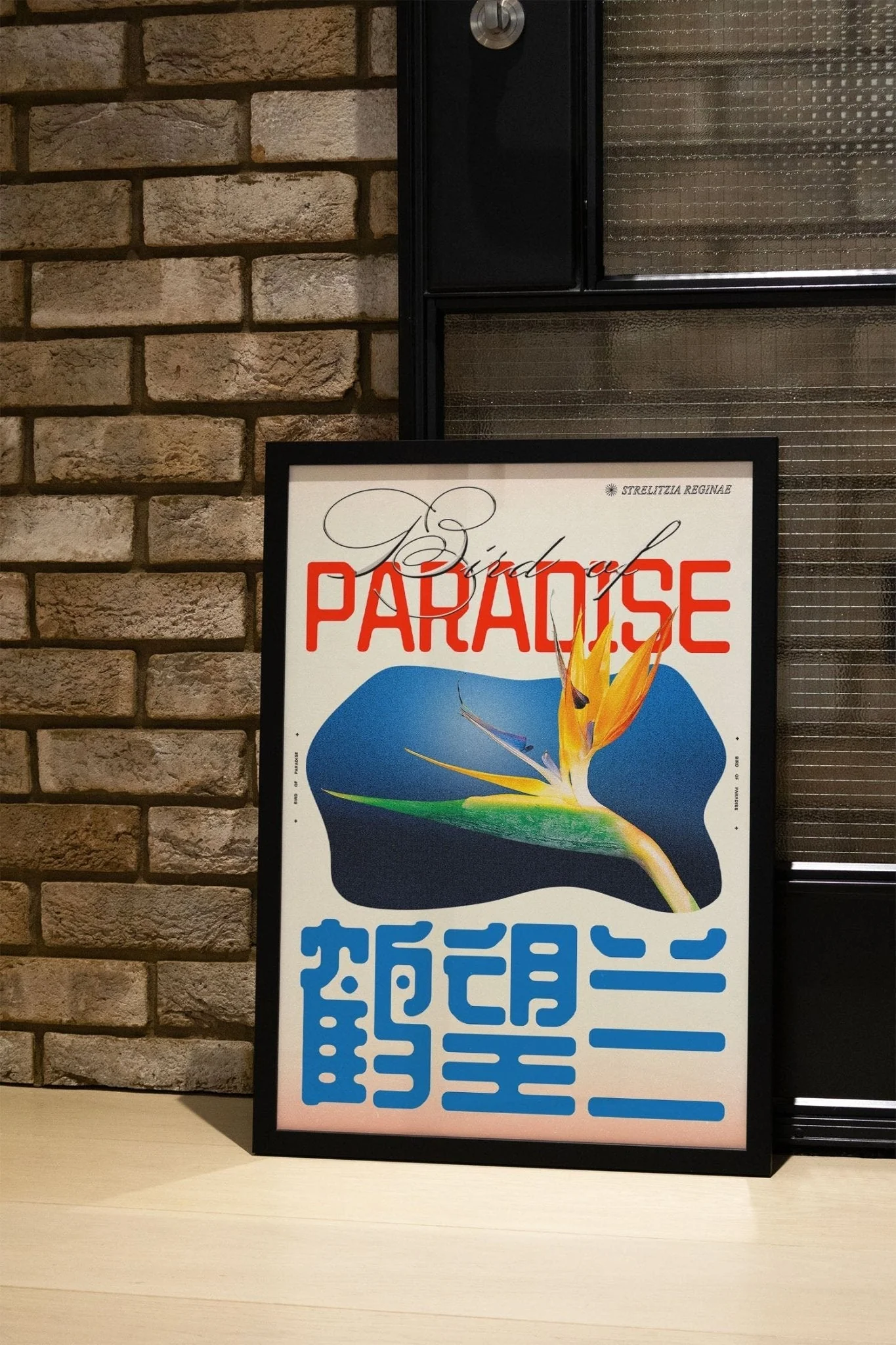 Bird of Paradise - Epi.to.me - Image 6