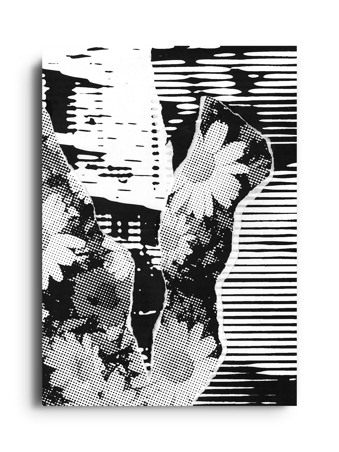BLOSSOM - Chico Leong - Image 8