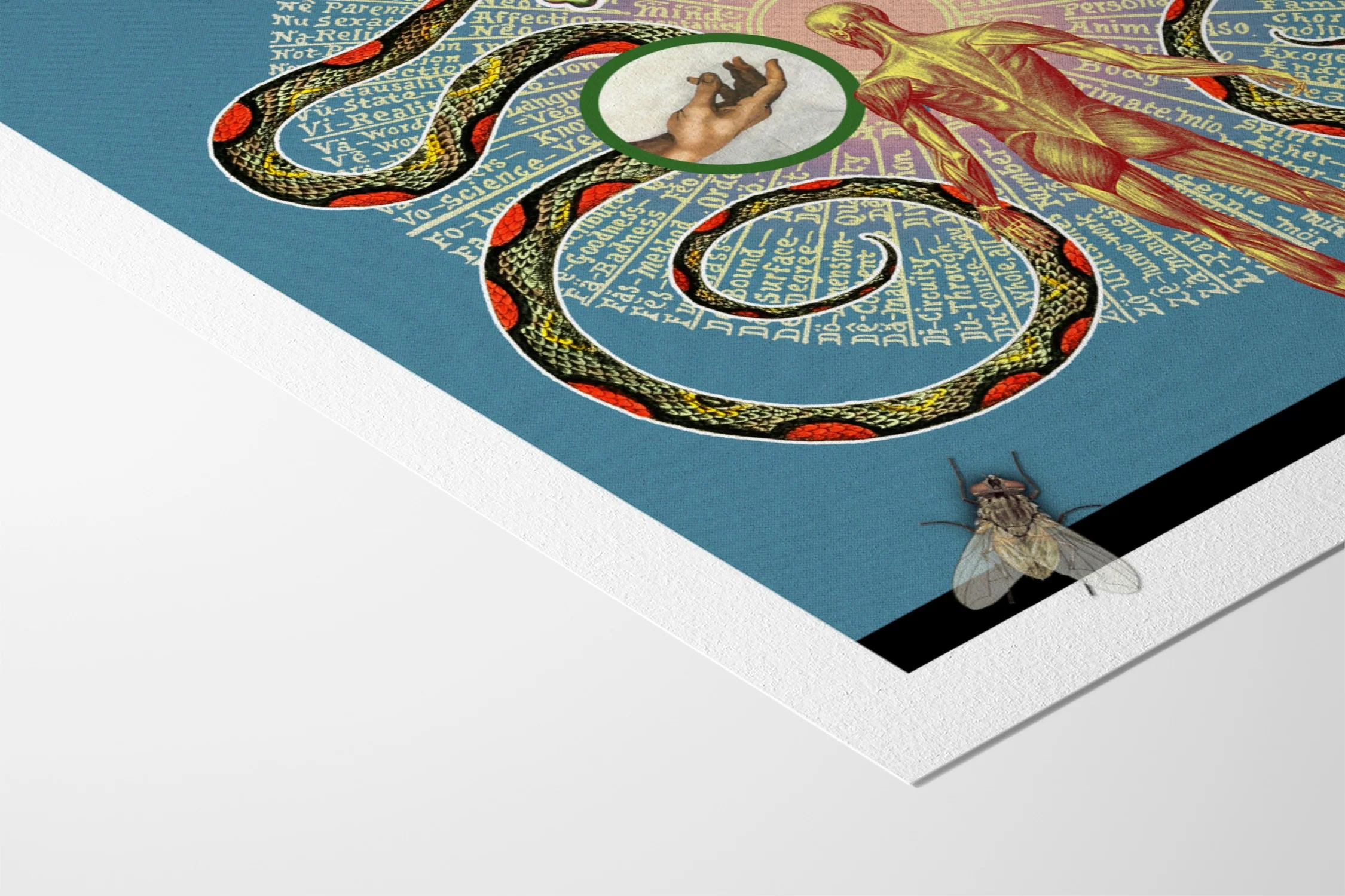 Book of Life - Louis Fishauf - Image 10