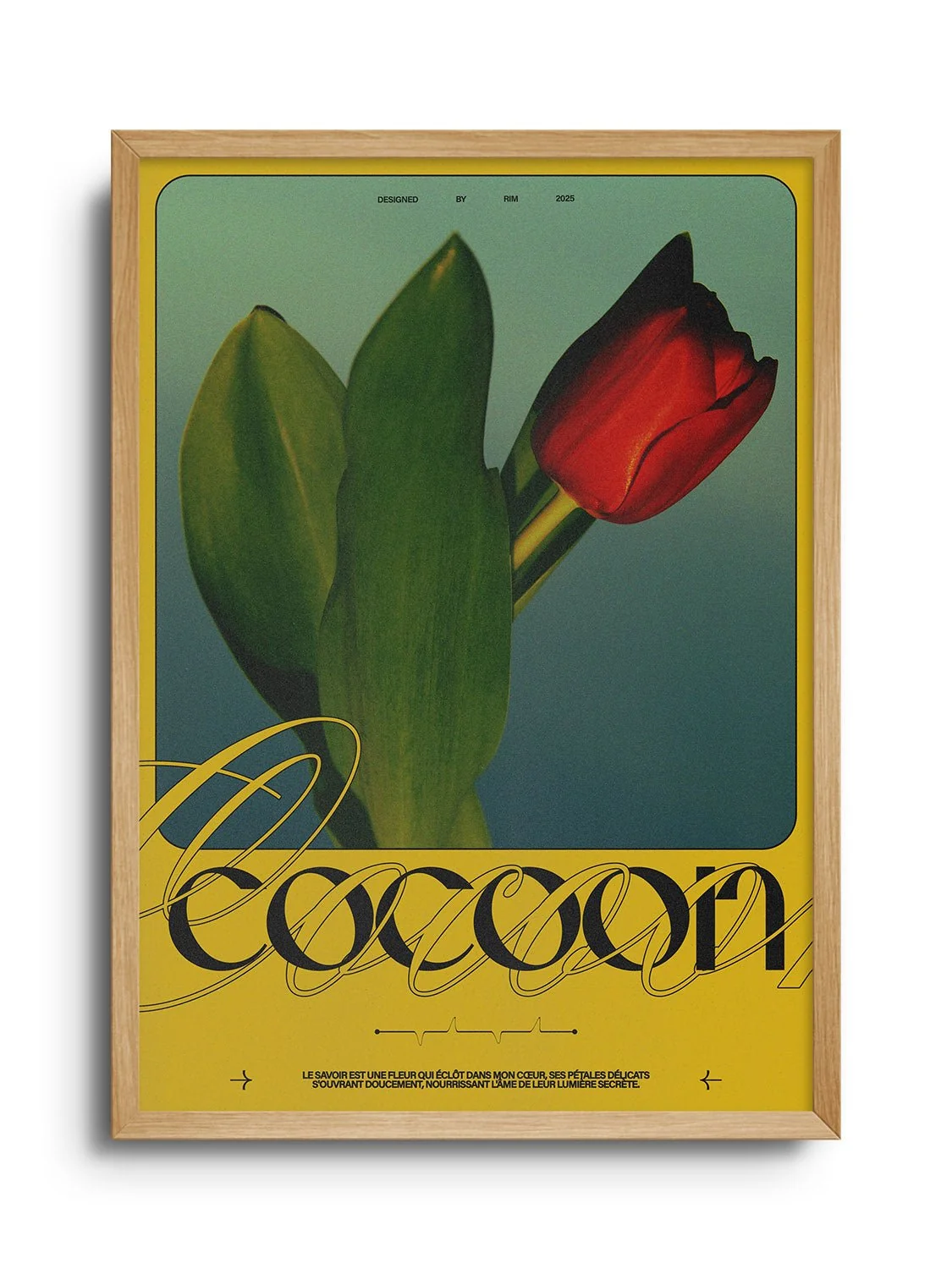 COCOON - Rīm Atelier - Image 3
