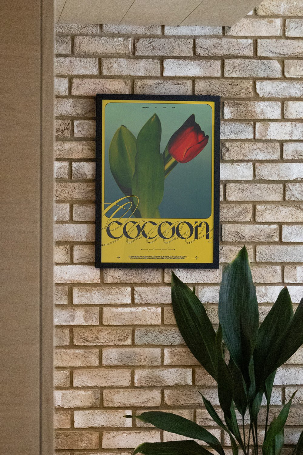 COCOON - Rīm Atelier - Image 4