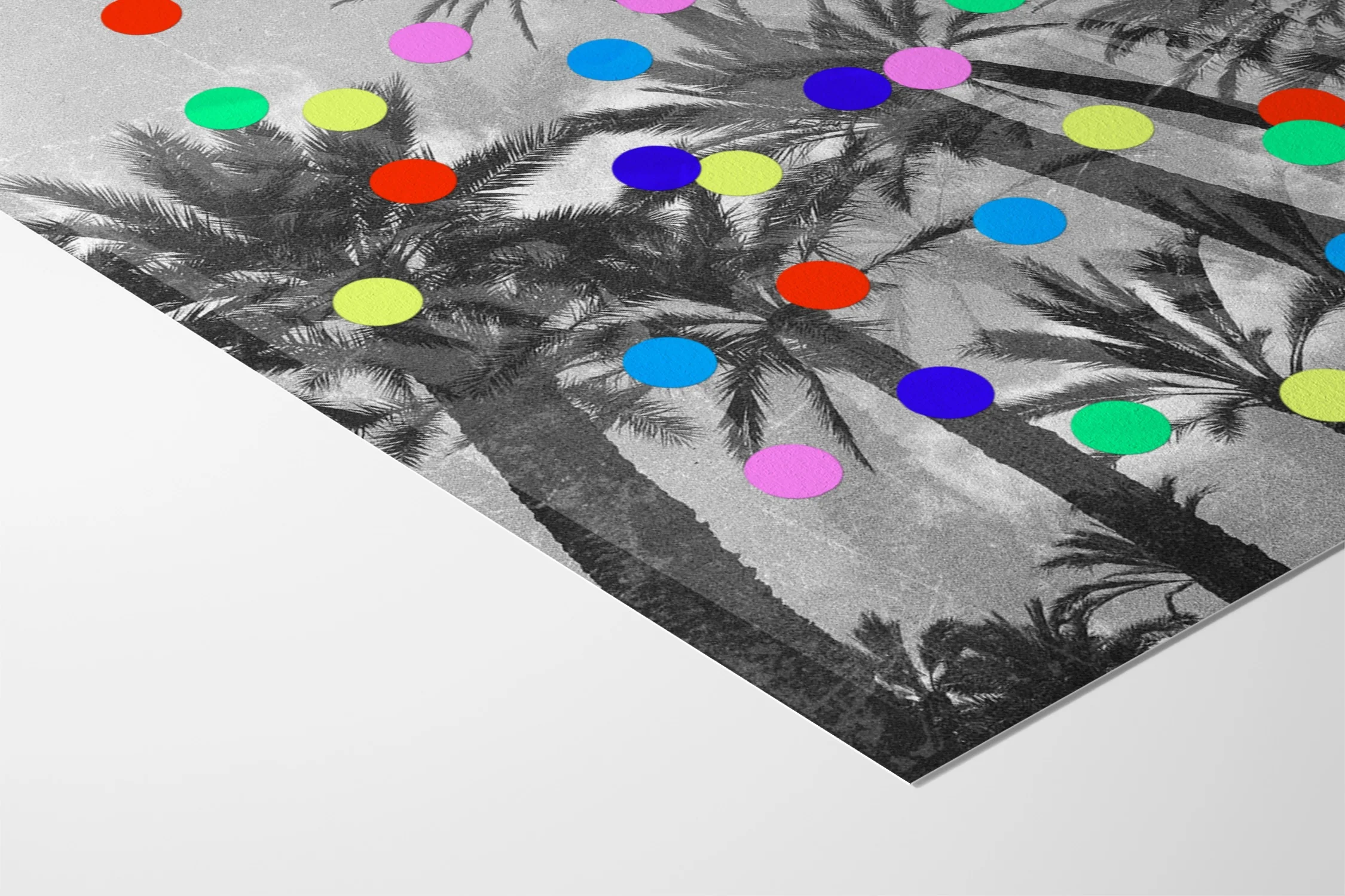 Confetti Palms - Sian Roper - Image 10