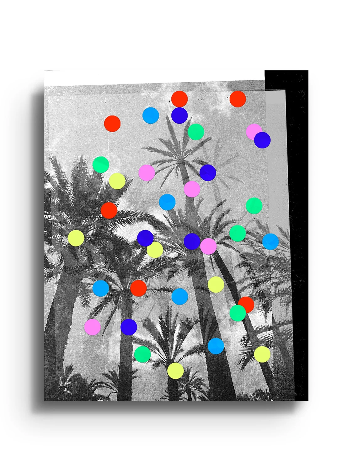 Confetti Palms - Sian Roper - Image 6