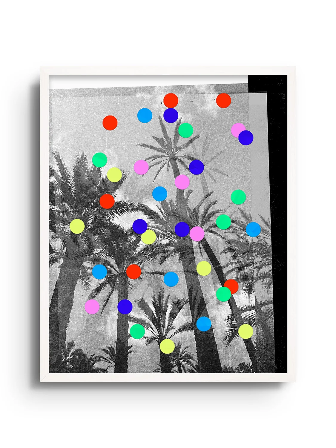 Confetti Palms - Sian Roper - Image 7