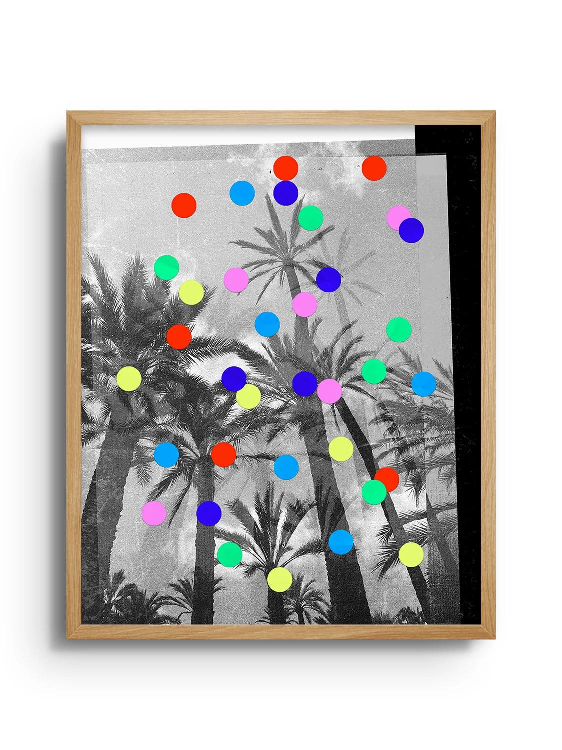 Confetti Palms - Sian Roper - Image 8