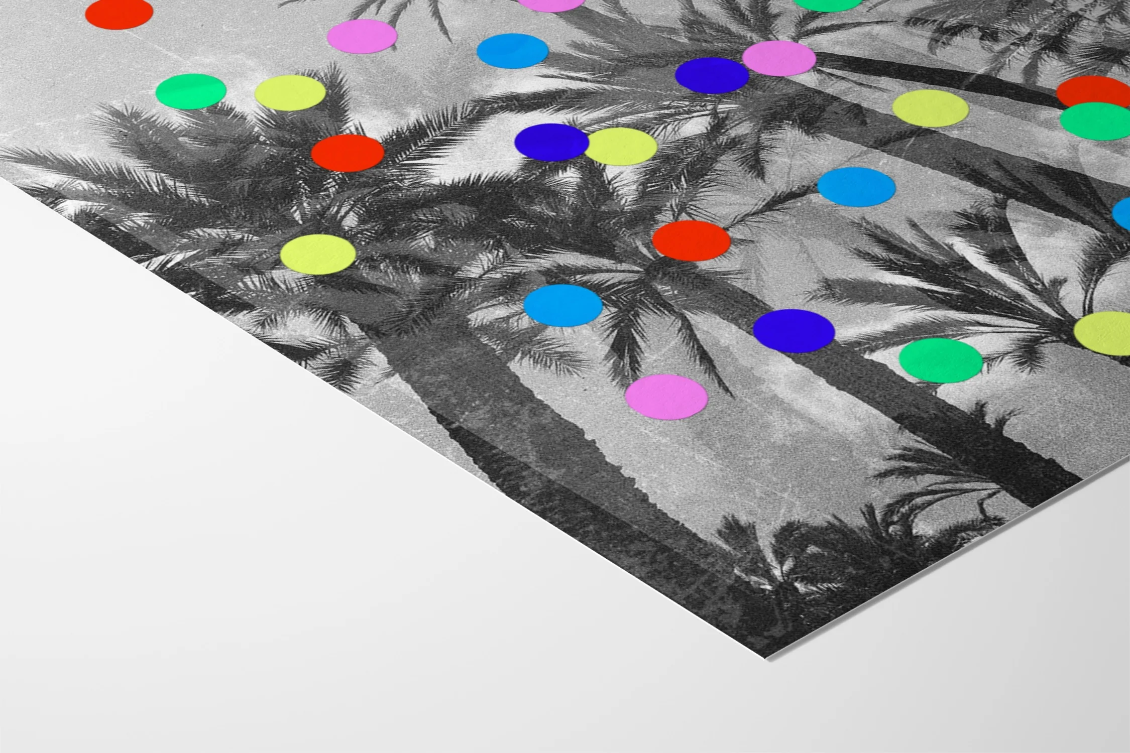 Confetti Palms - Sian Roper - Image 9