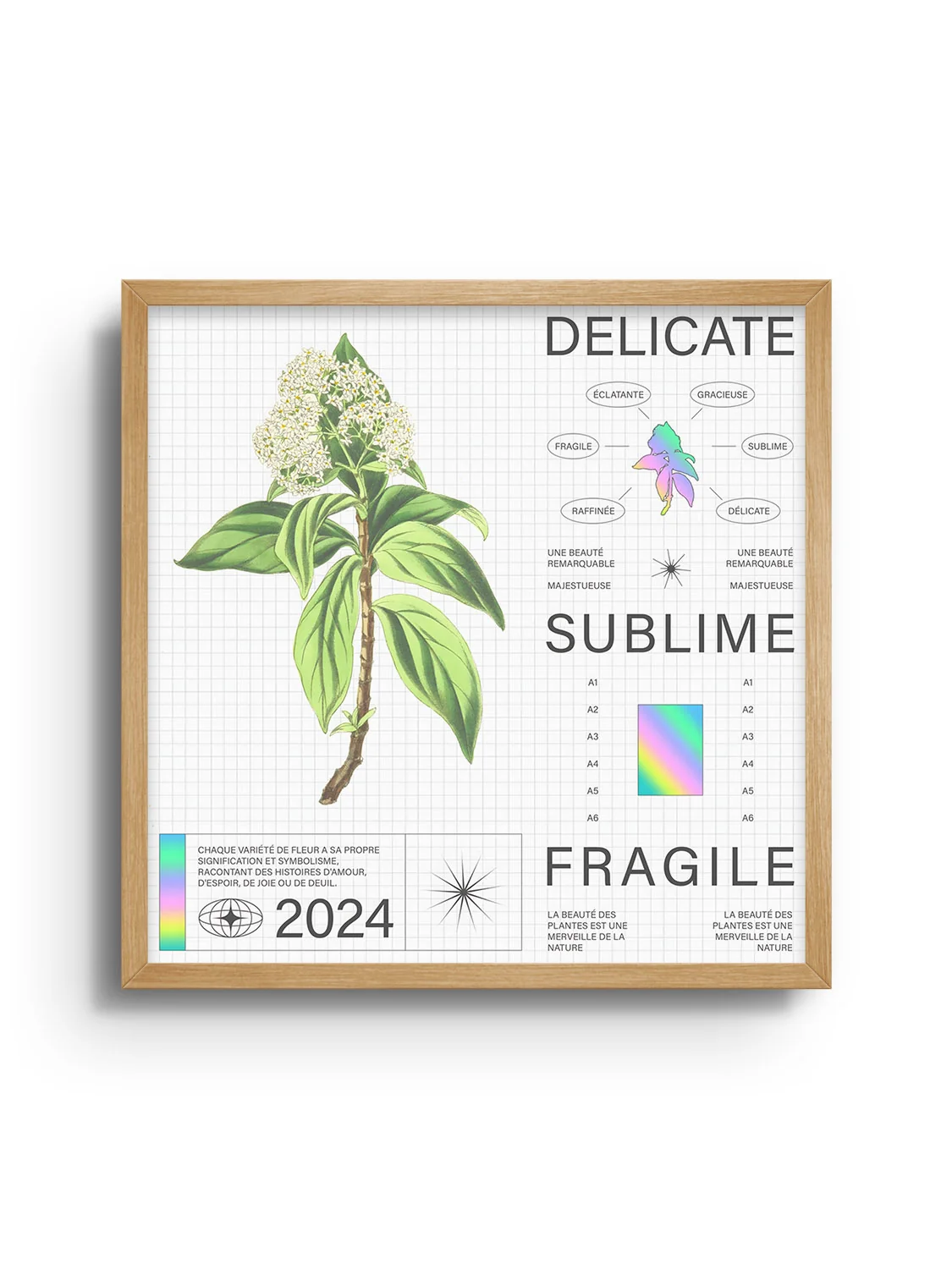 Delicate - Matéo Mace - Image 11