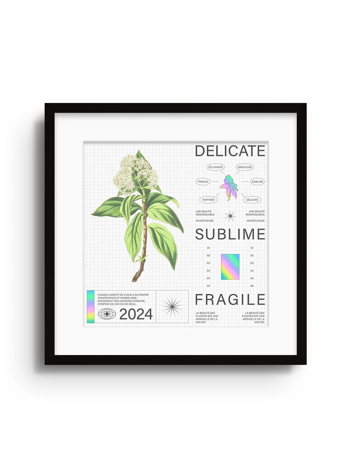 Delicate - Matéo Mace - Image 2
