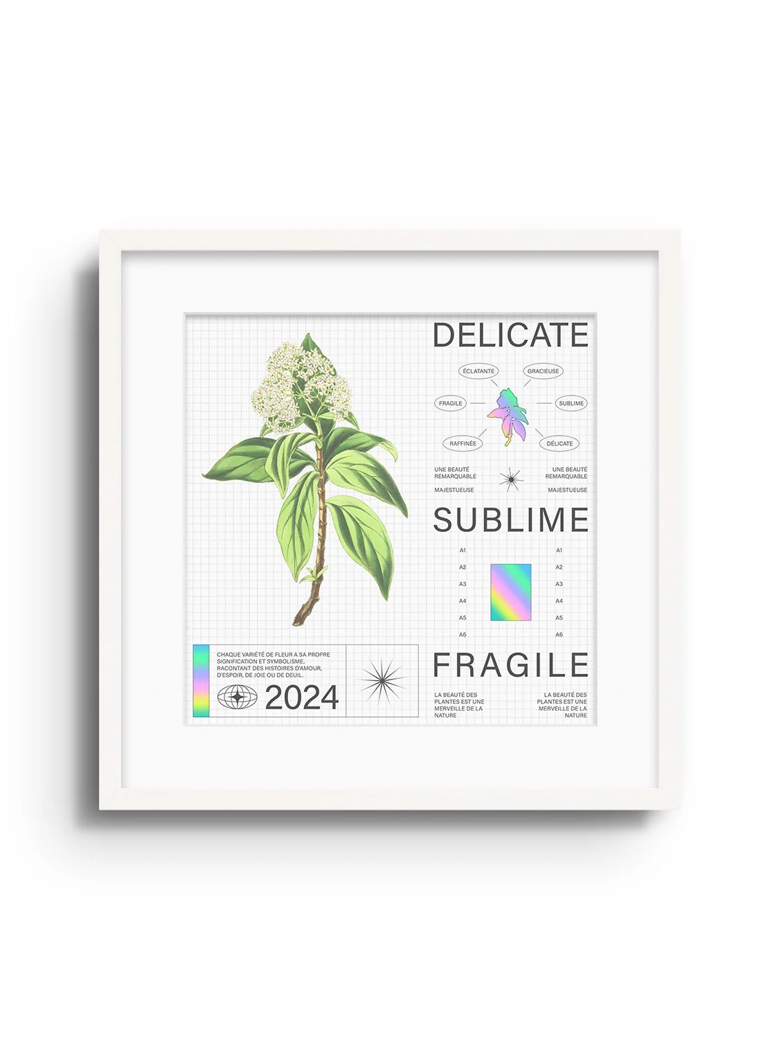 Delicate - Matéo Mace - Image 3