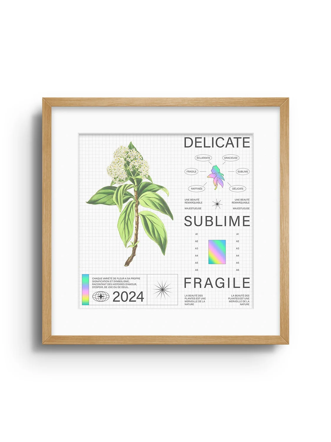 Delicate - Matéo Mace - Image 4