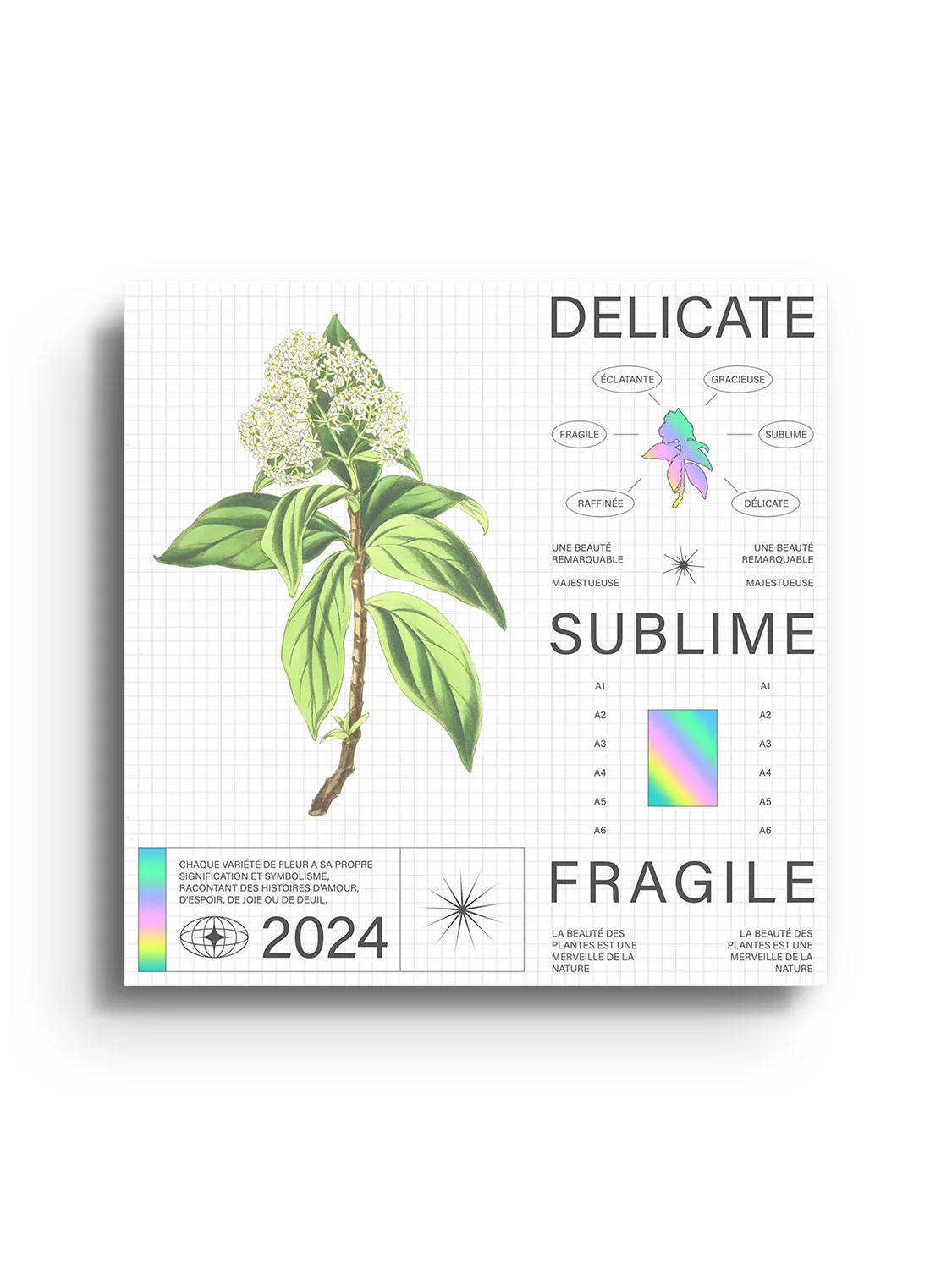 Delicate - Matéo Mace - Image 7