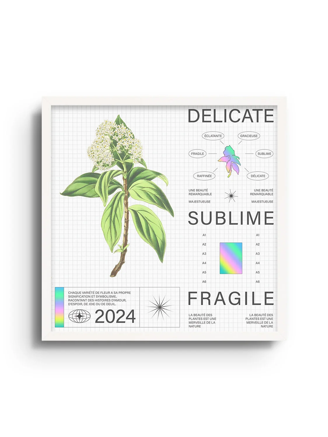 Delicate - Matéo Mace - Image 8
