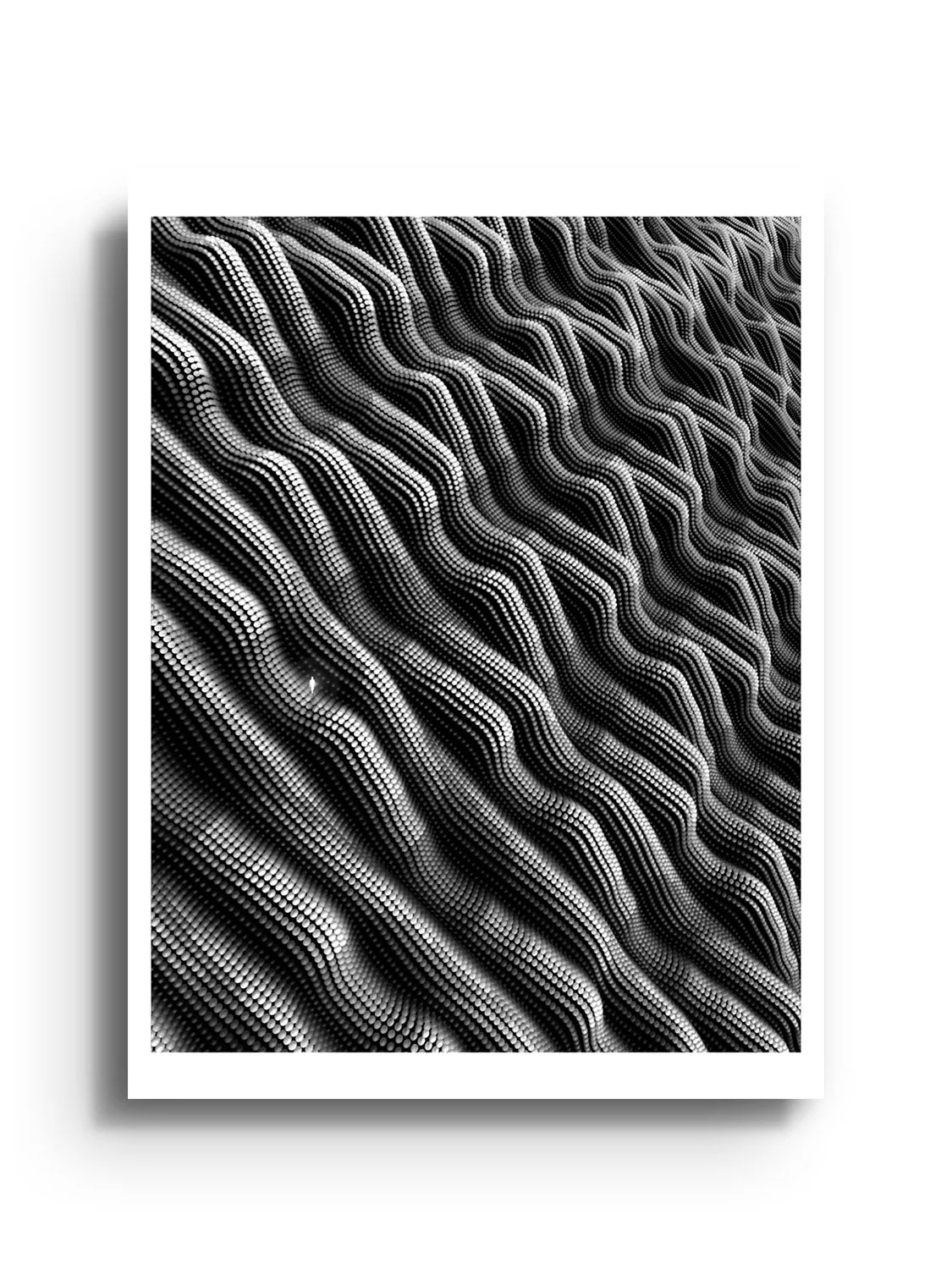 Exoskeleton - Michael Strevens - Image 8