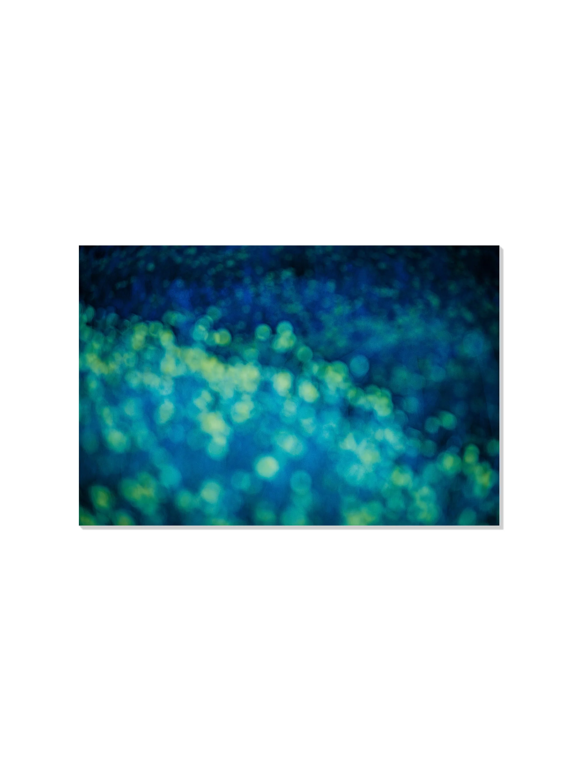 Field of Dreams III - Tal Paz-Fridman - Image 6