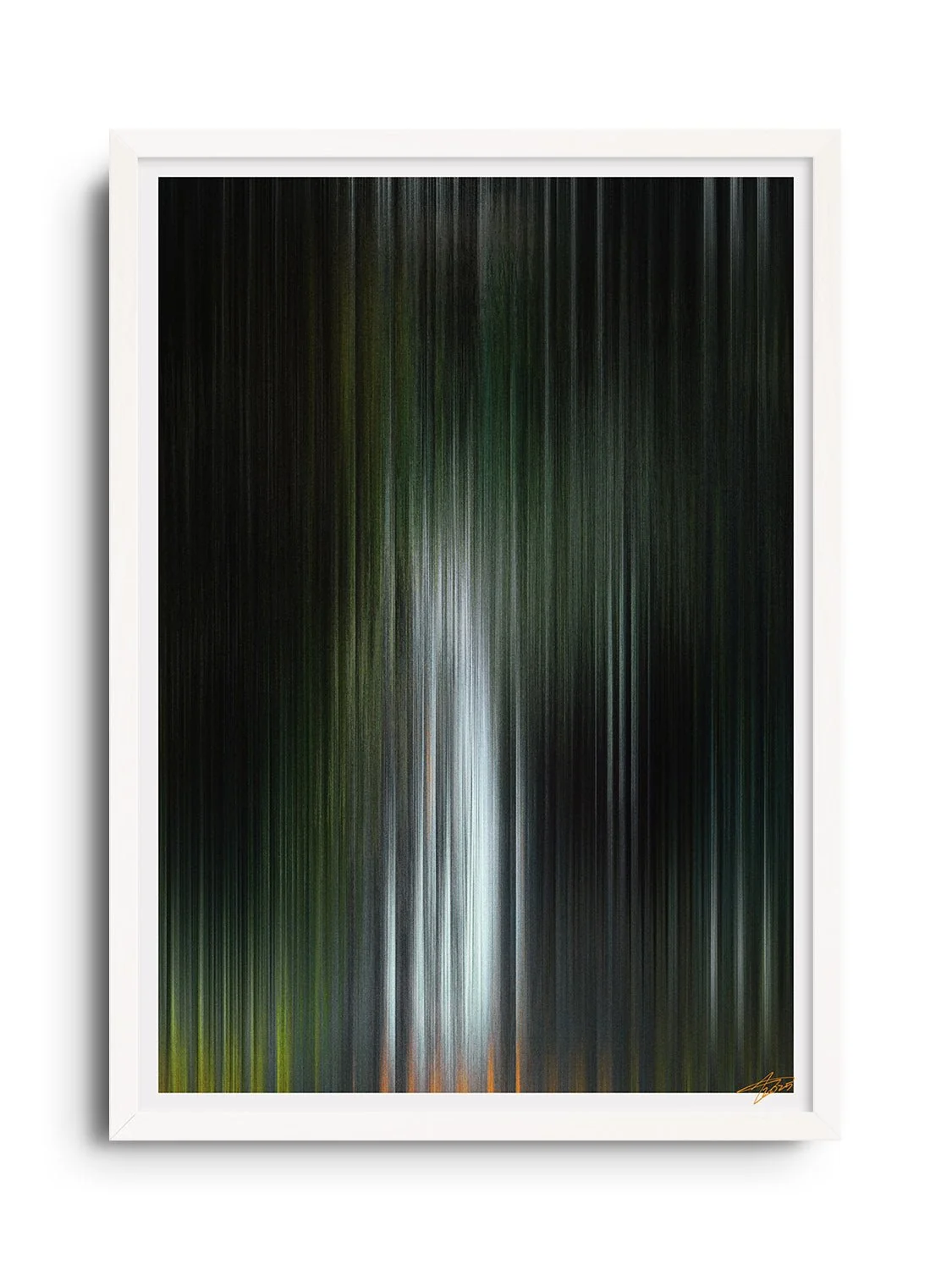 Glitch 25.804 - Botanical Refraction - Aaron Borchardt - Image 2
