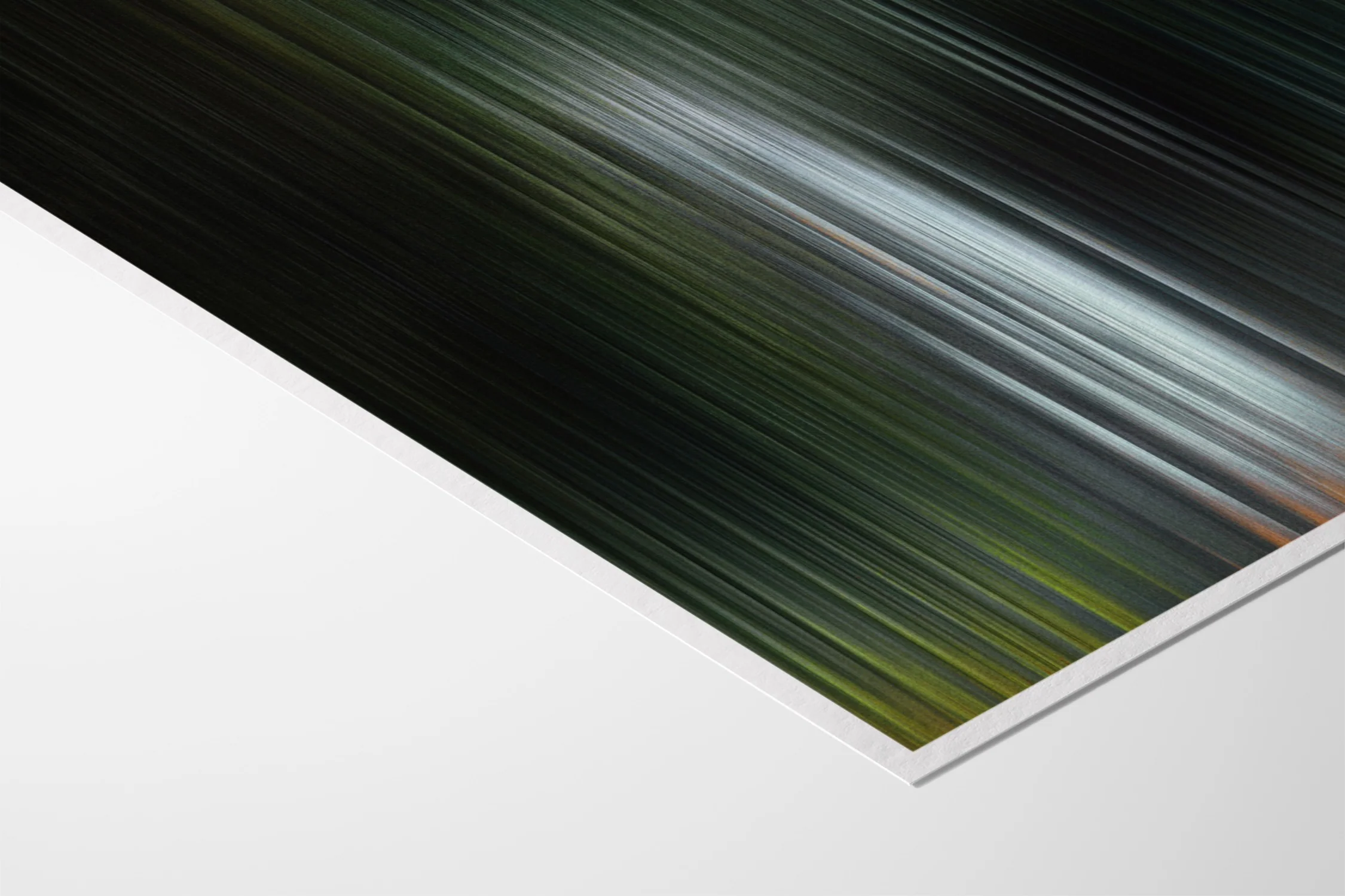 Glitch 25.804 - Botanical Refraction - Aaron Borchardt - Image 3