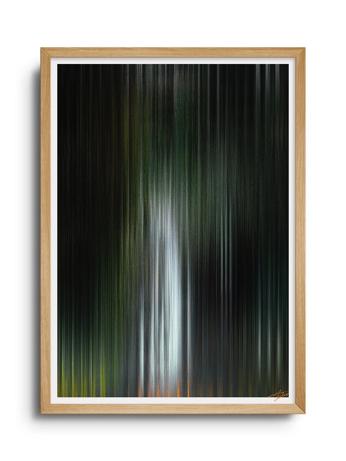 Glitch 25.804 - Botanical Refraction - Aaron Borchardt - Image 5