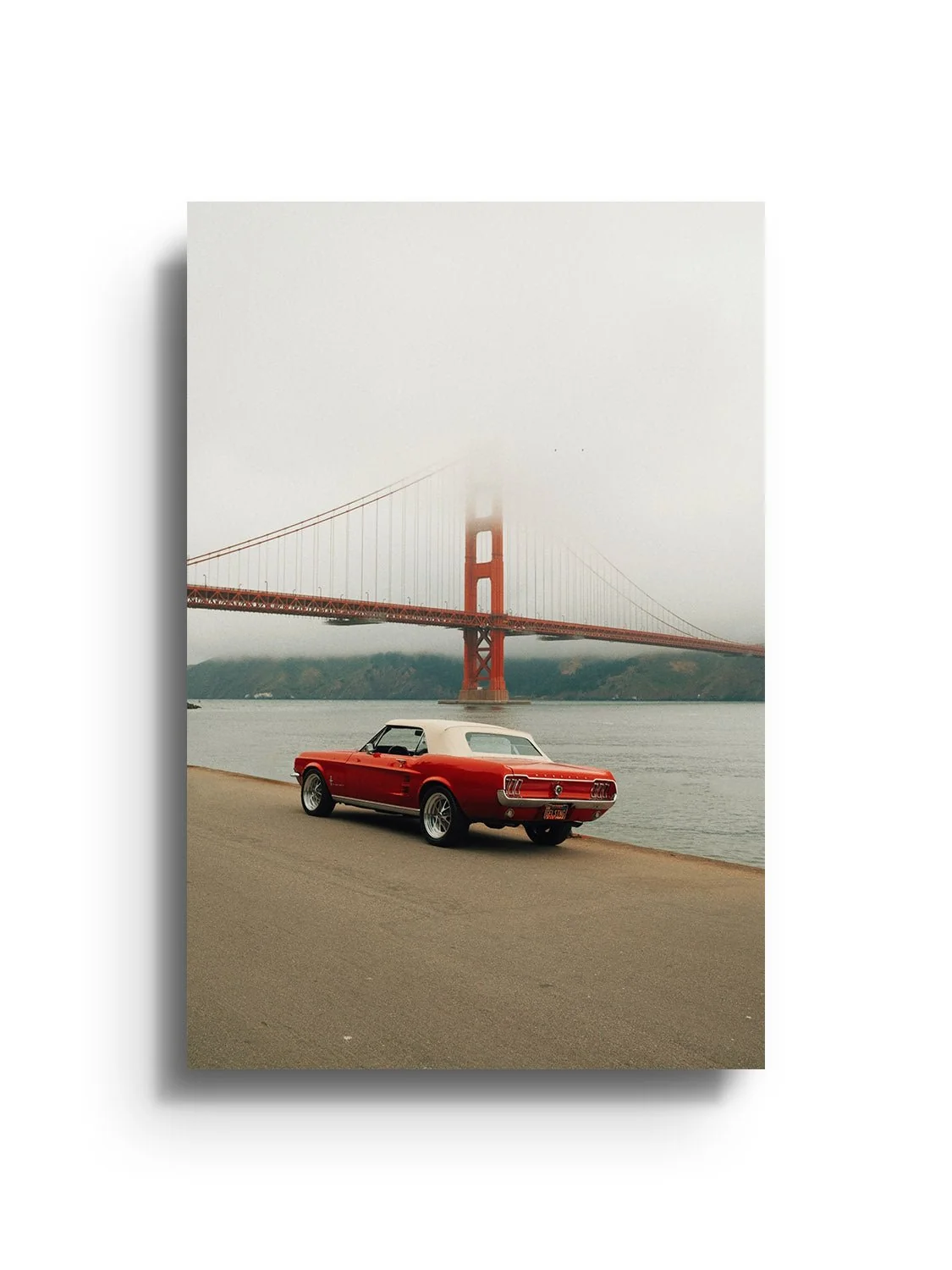 Golden State of Mind - Gelstang - Image 6