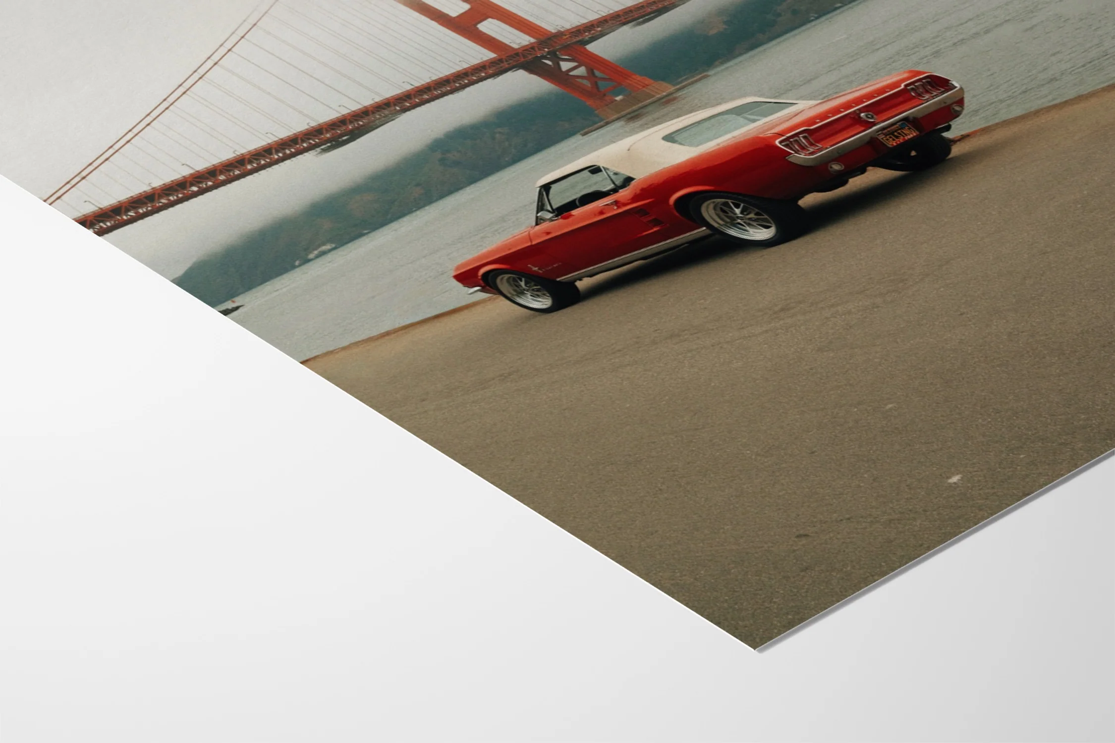Golden State of Mind - Gelstang - Image 9