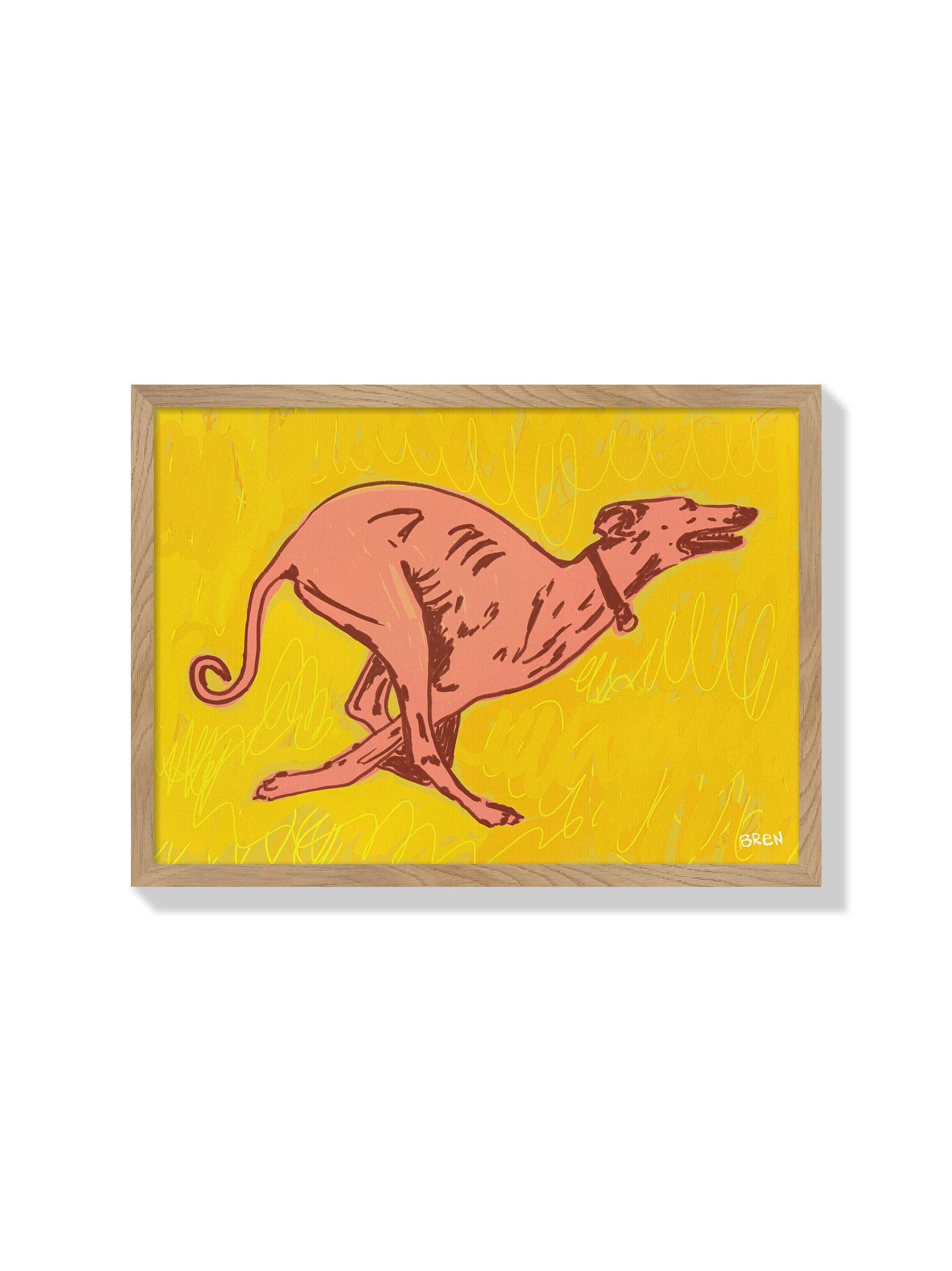Greyhound Running - Scared of Moths - Image 4
