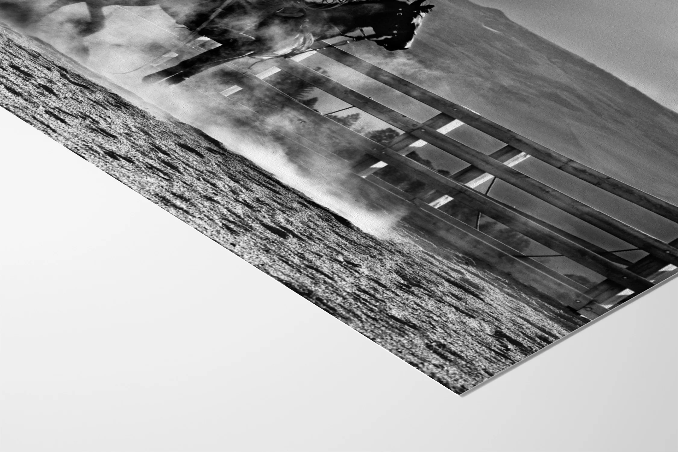 Heat and Dust - Michael Potter - Image 10