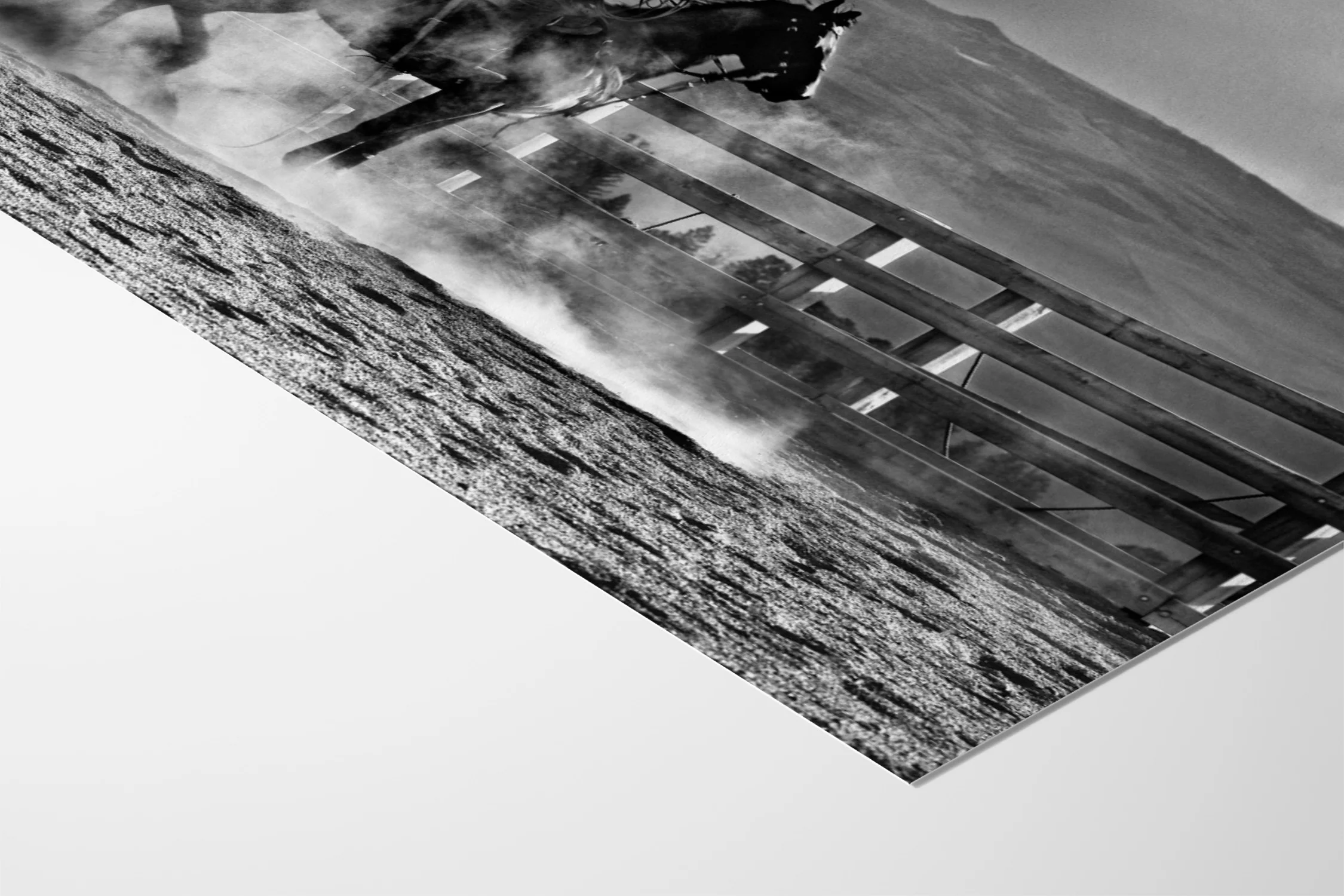 Heat and Dust - Michael Potter - Image 9