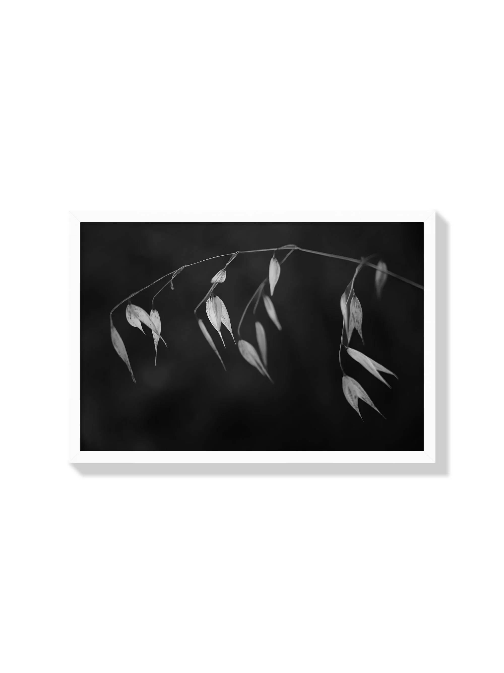 In light of current events II - Tal Paz-Fridman - Image 2