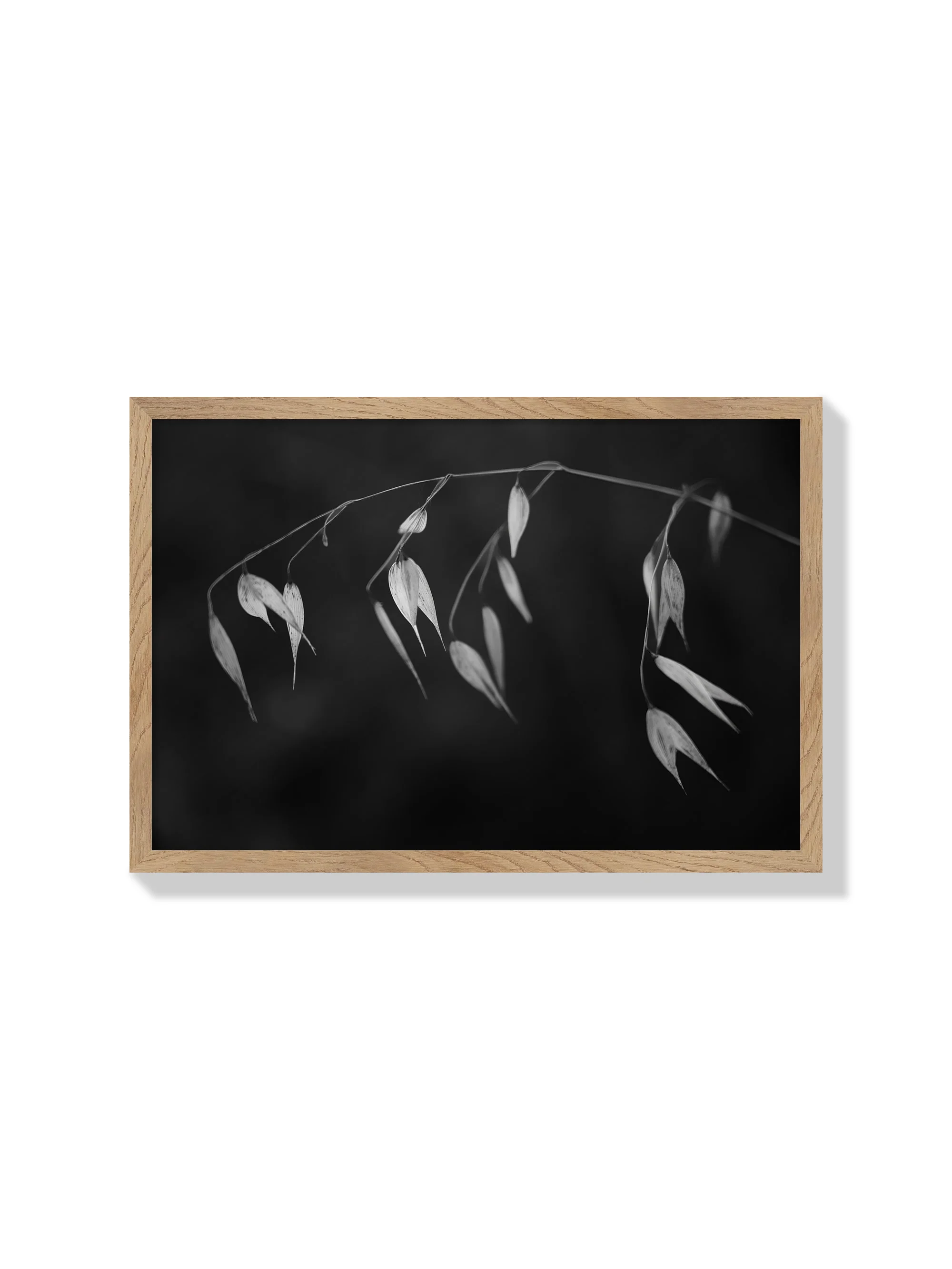 In light of current events II - Tal Paz-Fridman - Image 3