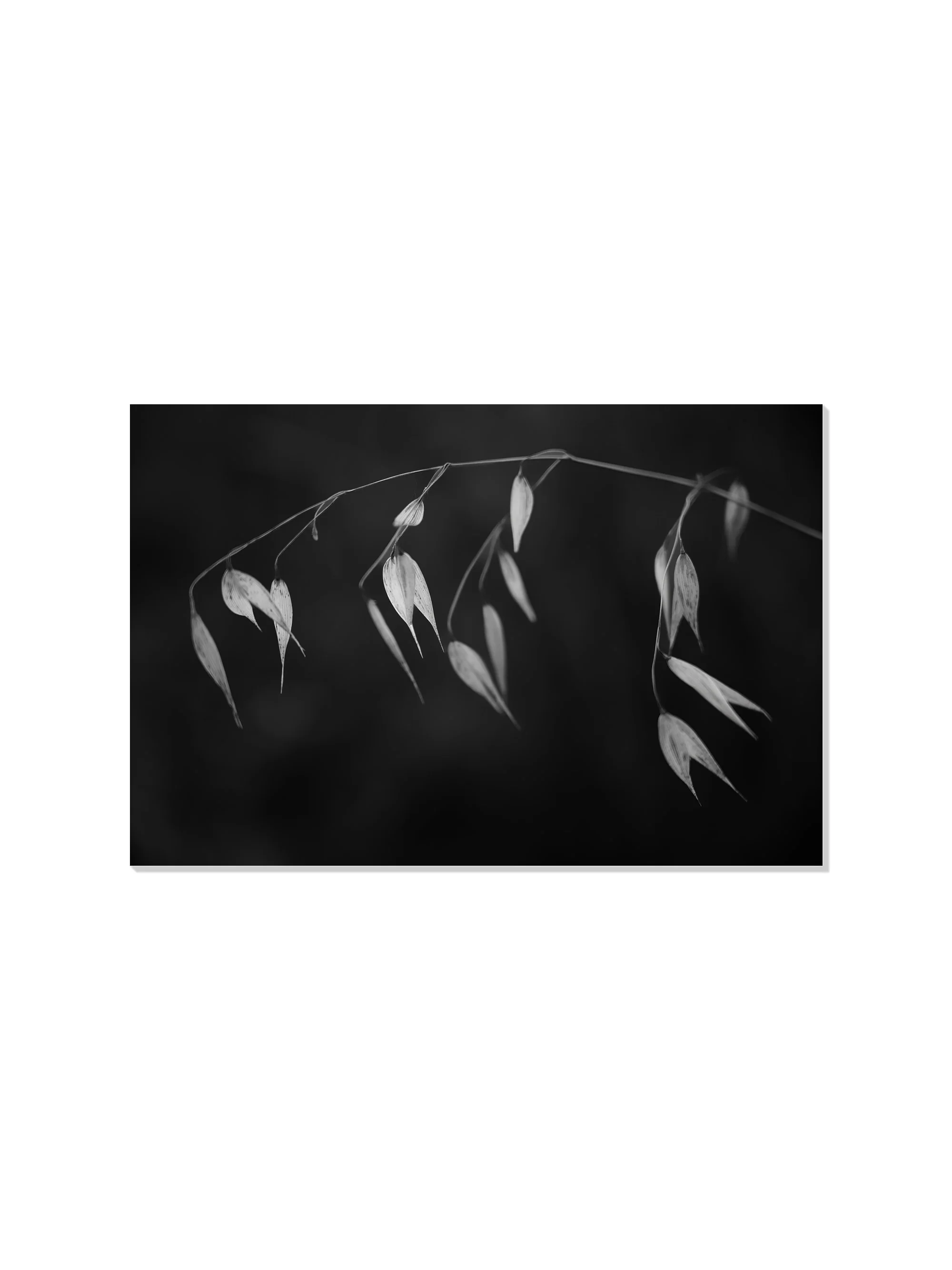 In light of current events II - Tal Paz-Fridman - Image 6