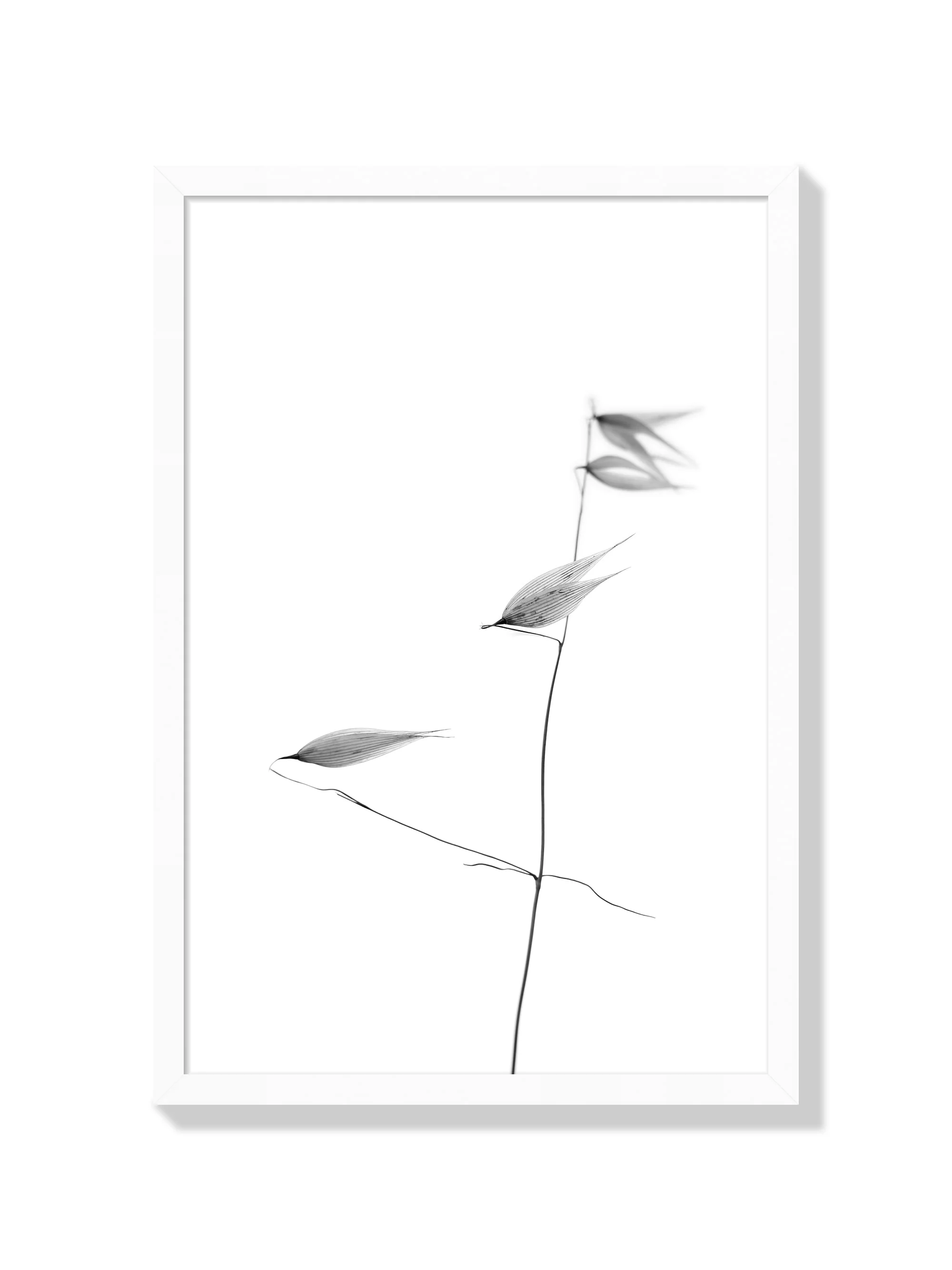 In light of current events IV - Tal Paz-Fridman - Image 2
