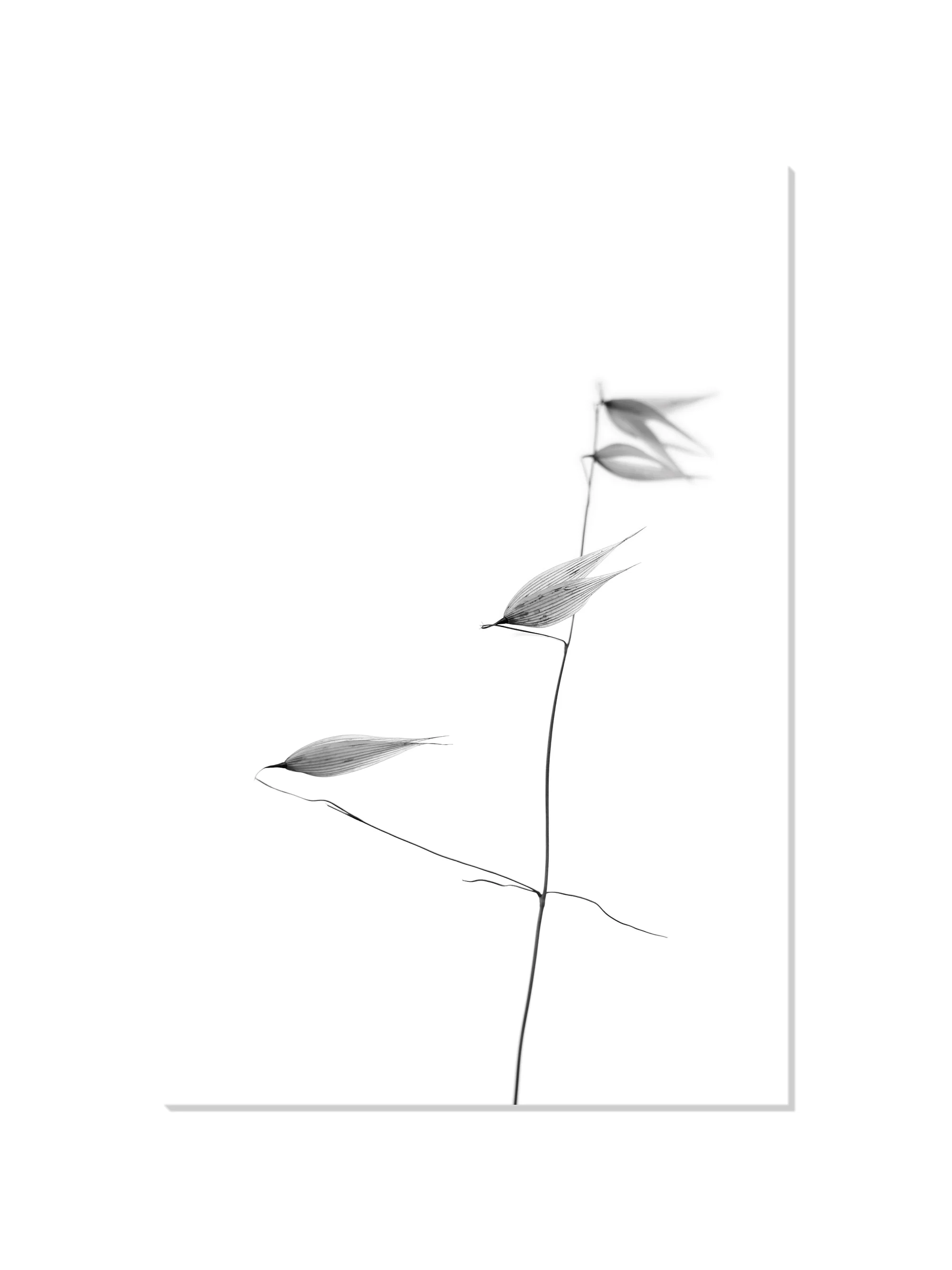 In light of current events IV - Tal Paz-Fridman - Image 6