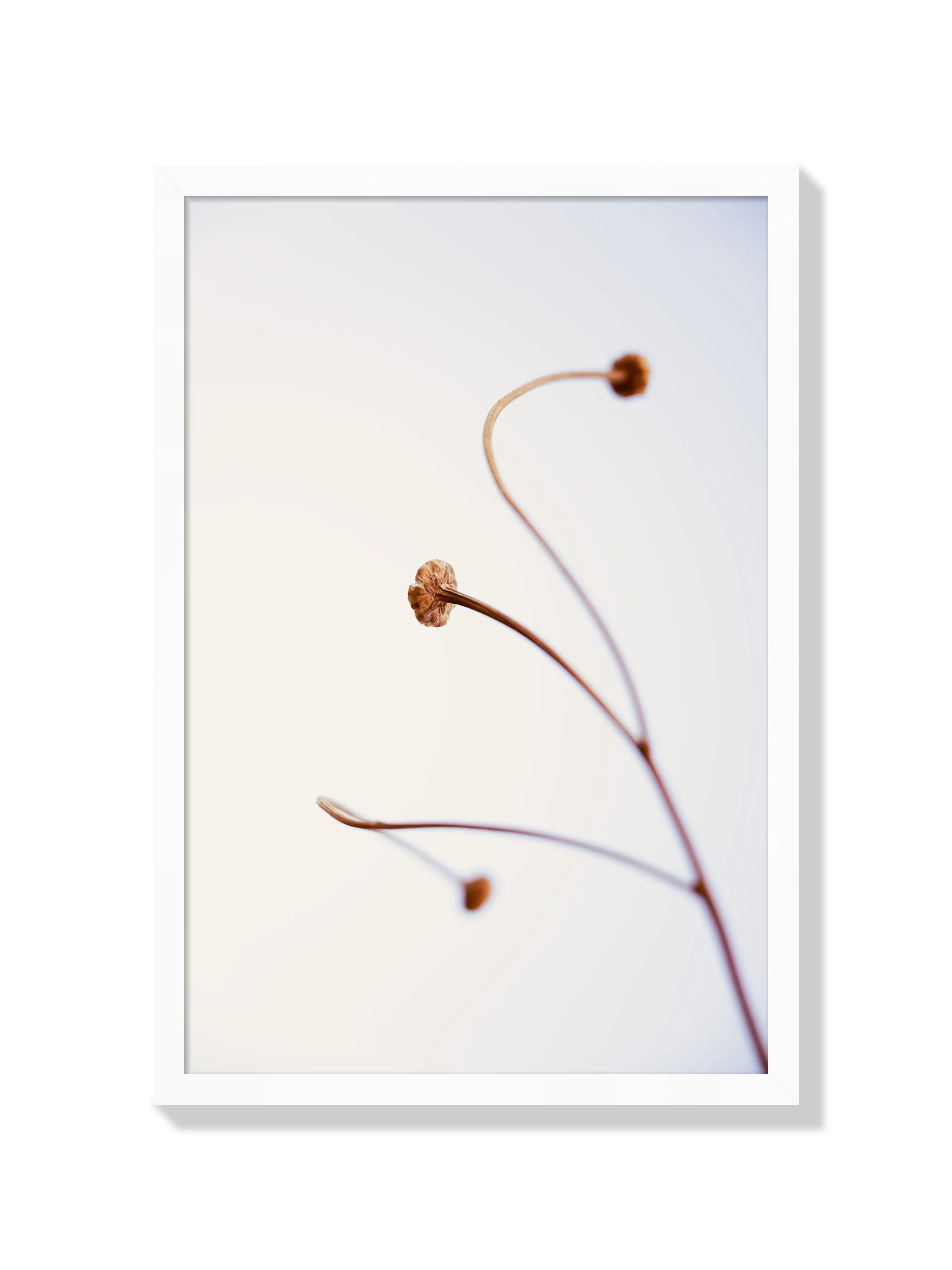 In light of current events VIII - Tal Paz-Fridman - Image 2