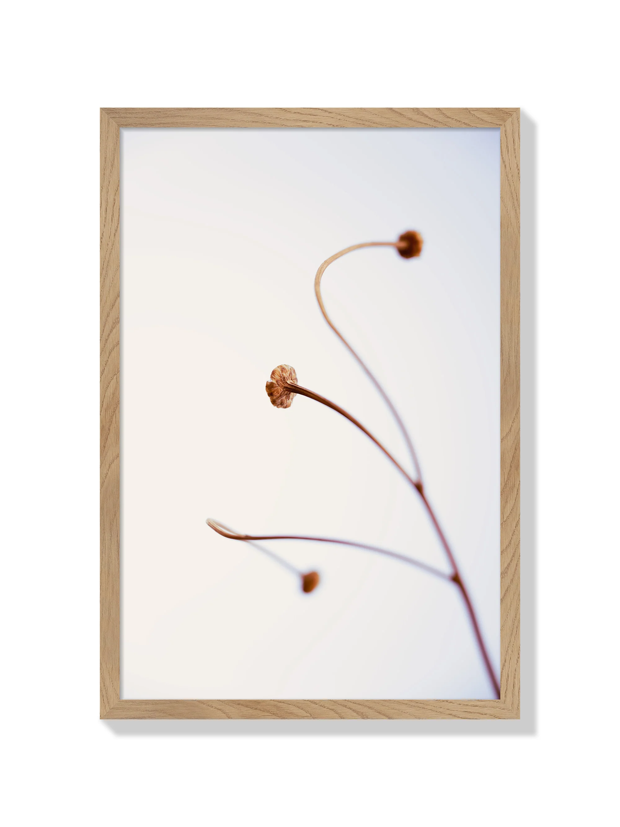 In light of current events VIII - Tal Paz-Fridman - Image 3