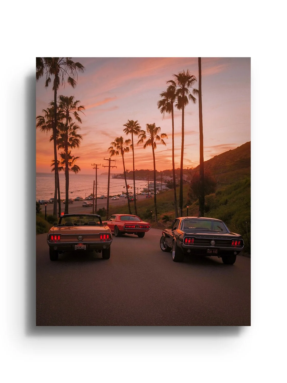 Malibu Daydream - Gelstang - Image 5