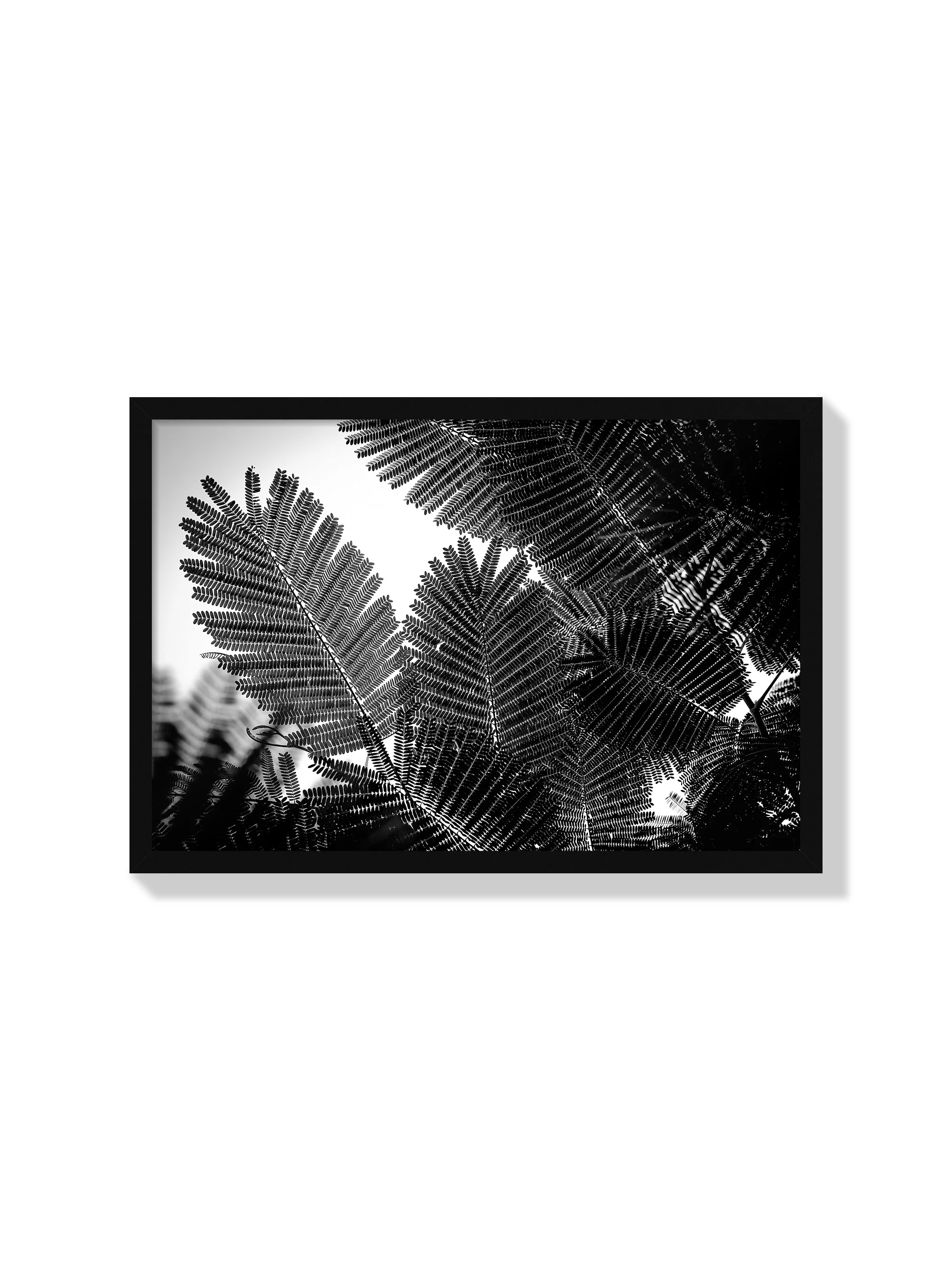 Natural Geometries I - Tal Paz-Fridman
