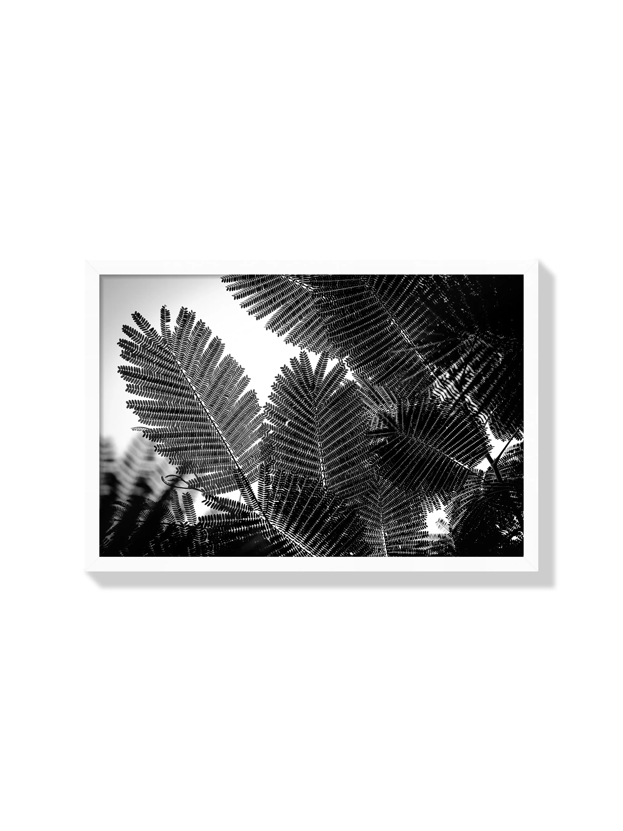 Natural Geometries I - Tal Paz-Fridman - Image 2