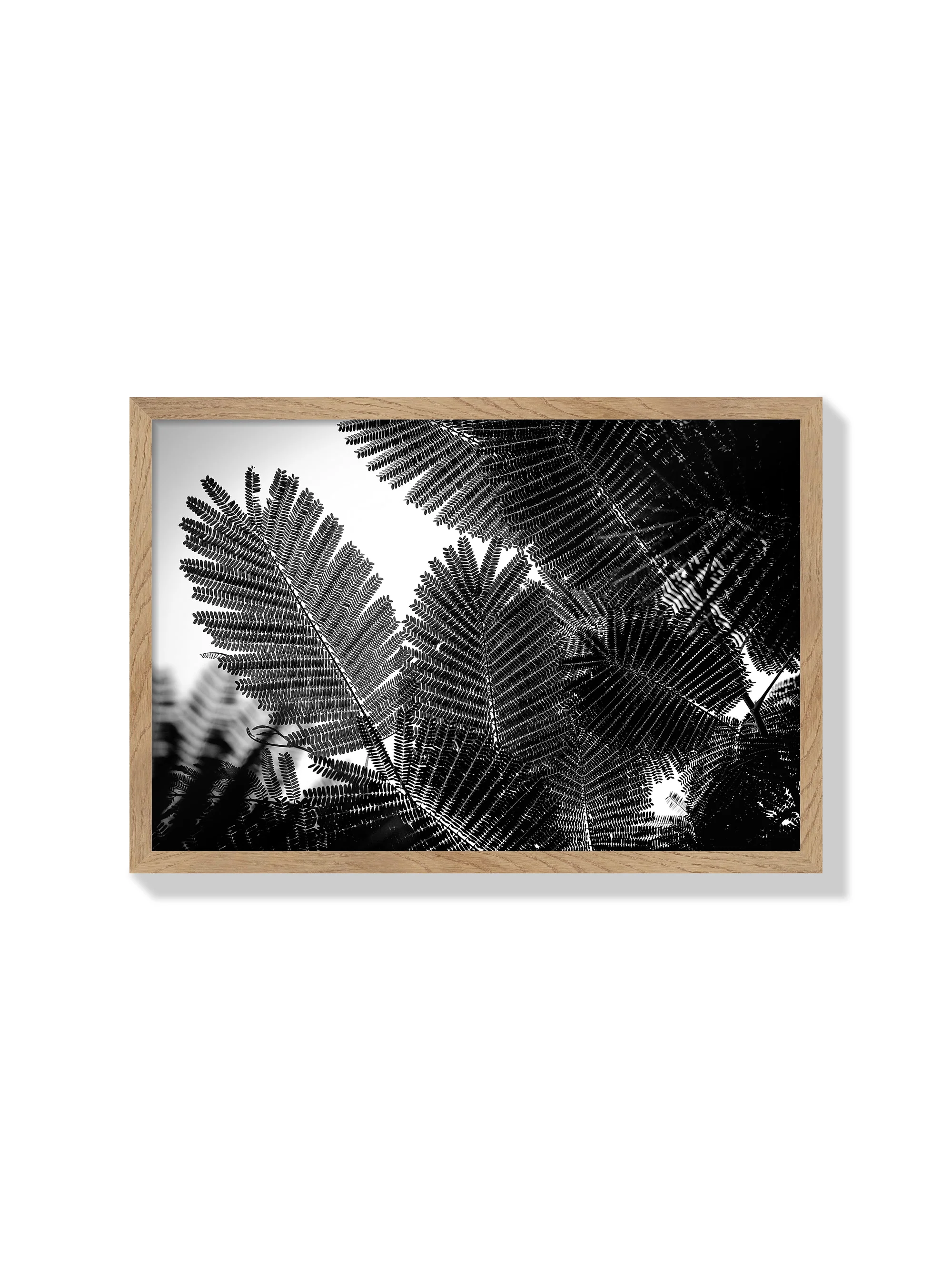 Natural Geometries I - Tal Paz-Fridman - Image 3