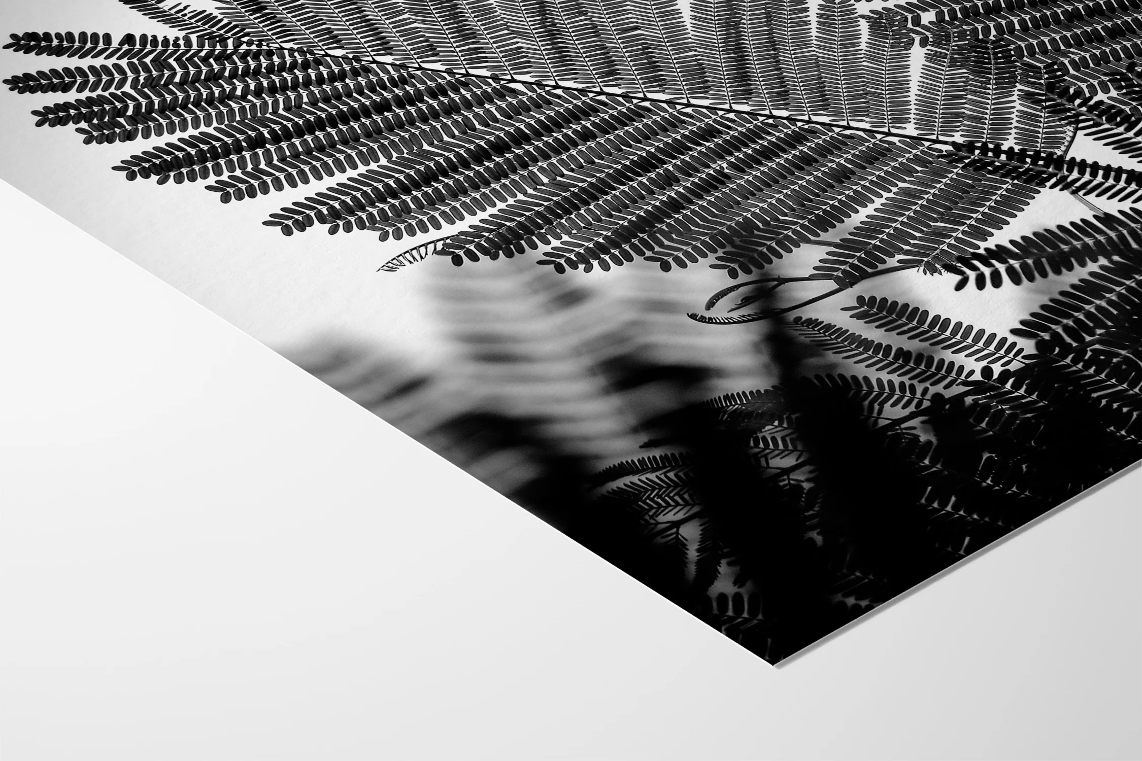 Natural Geometries I - Tal Paz-Fridman - Image 5