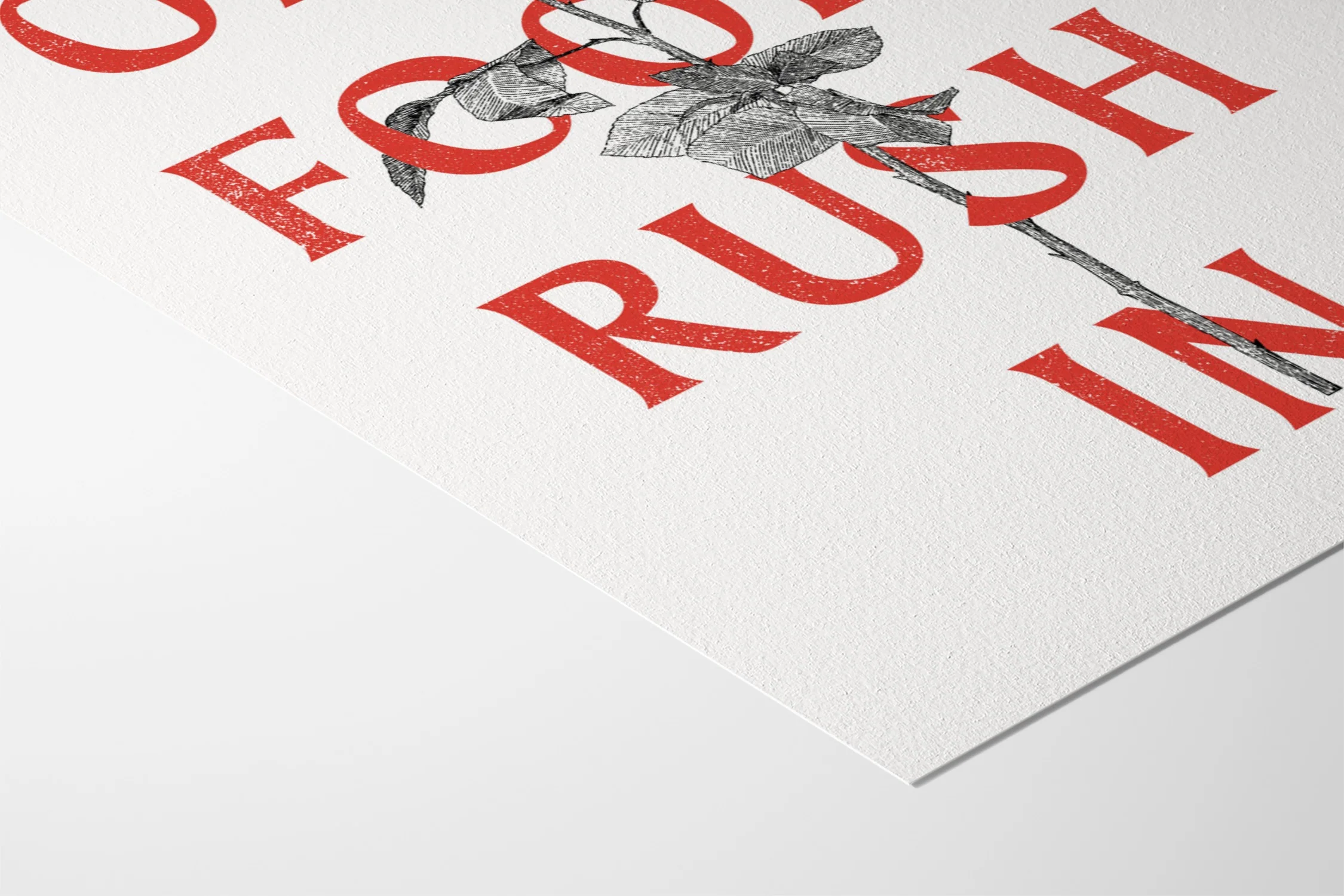 Only Fools Rush In - Rose Red - Diogo Lopes - Image 9