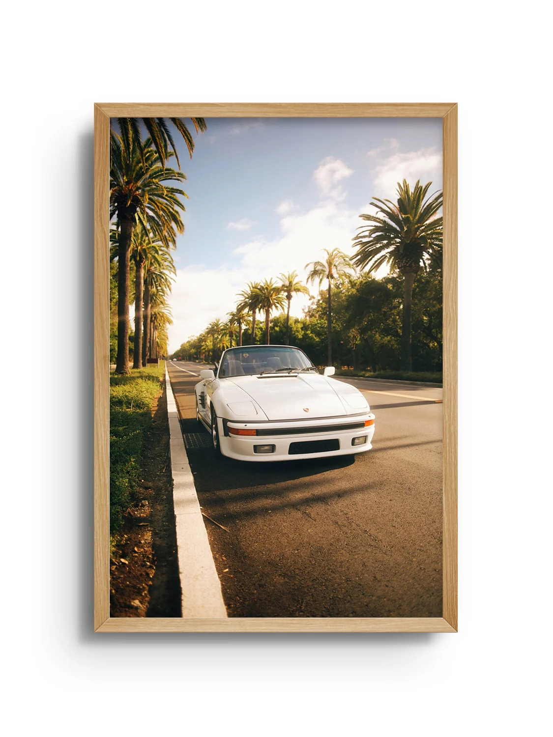 Palms & Porsche - Gelstang - Image 12