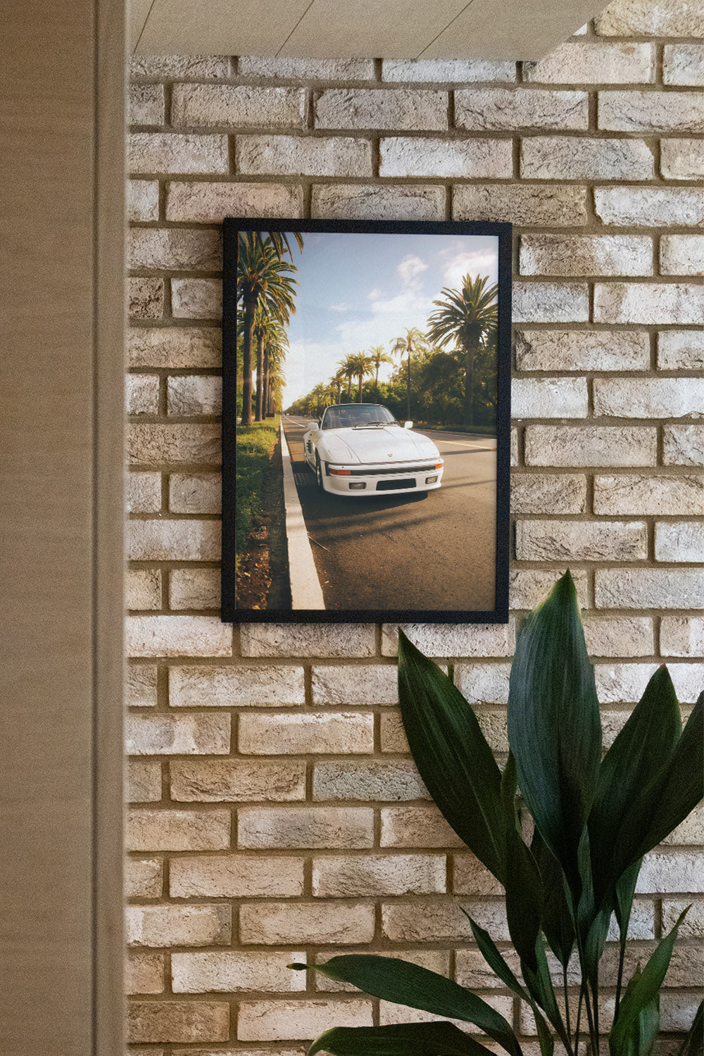 Palms & Porsche - Gelstang - Image 5