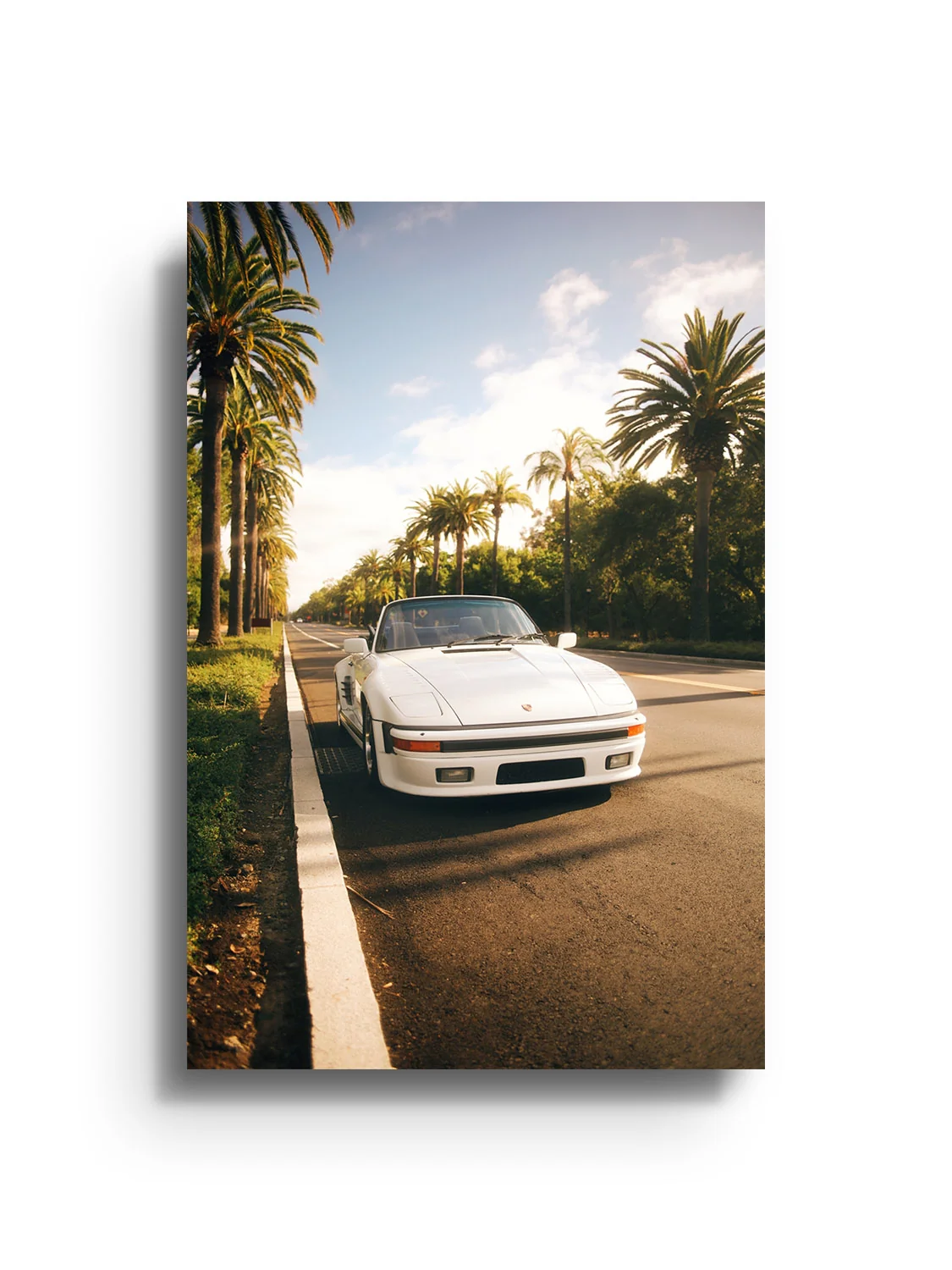Palms & Porsche - Gelstang - Image 8