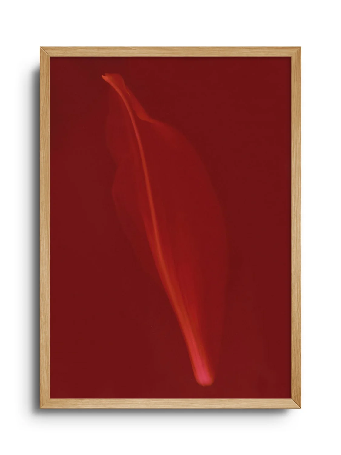 Petal - Simran Dhanu - Image 3