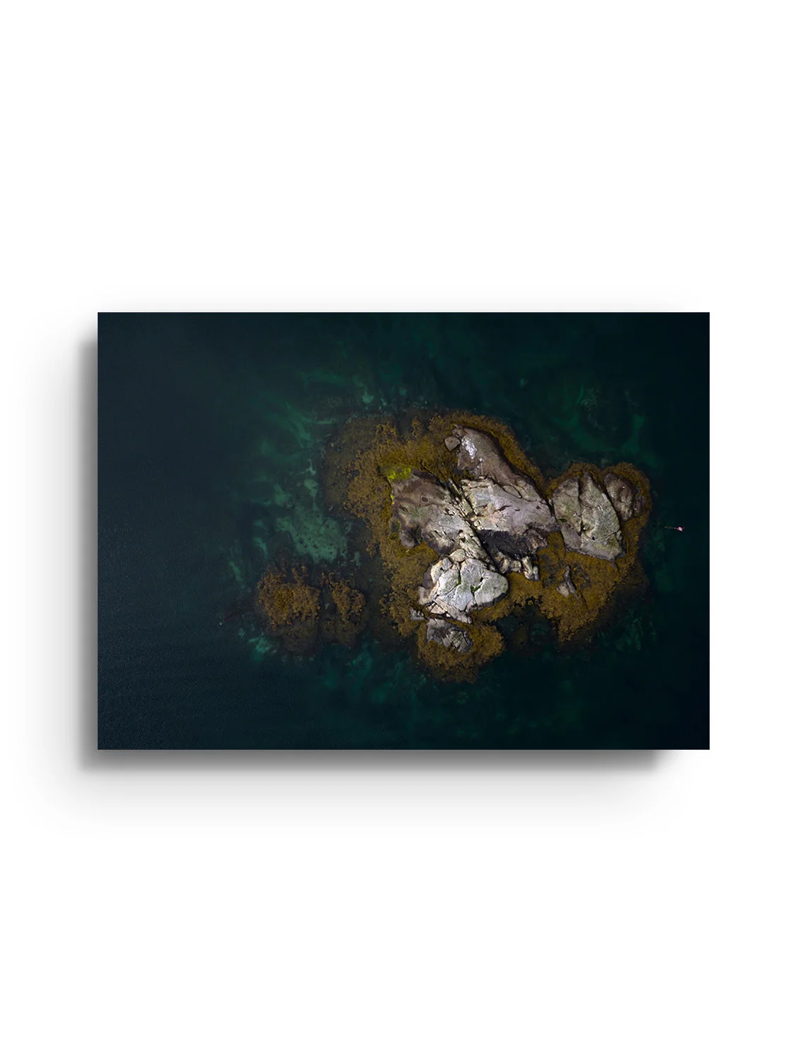 Reine II - Victoria Benjafield - Image 6