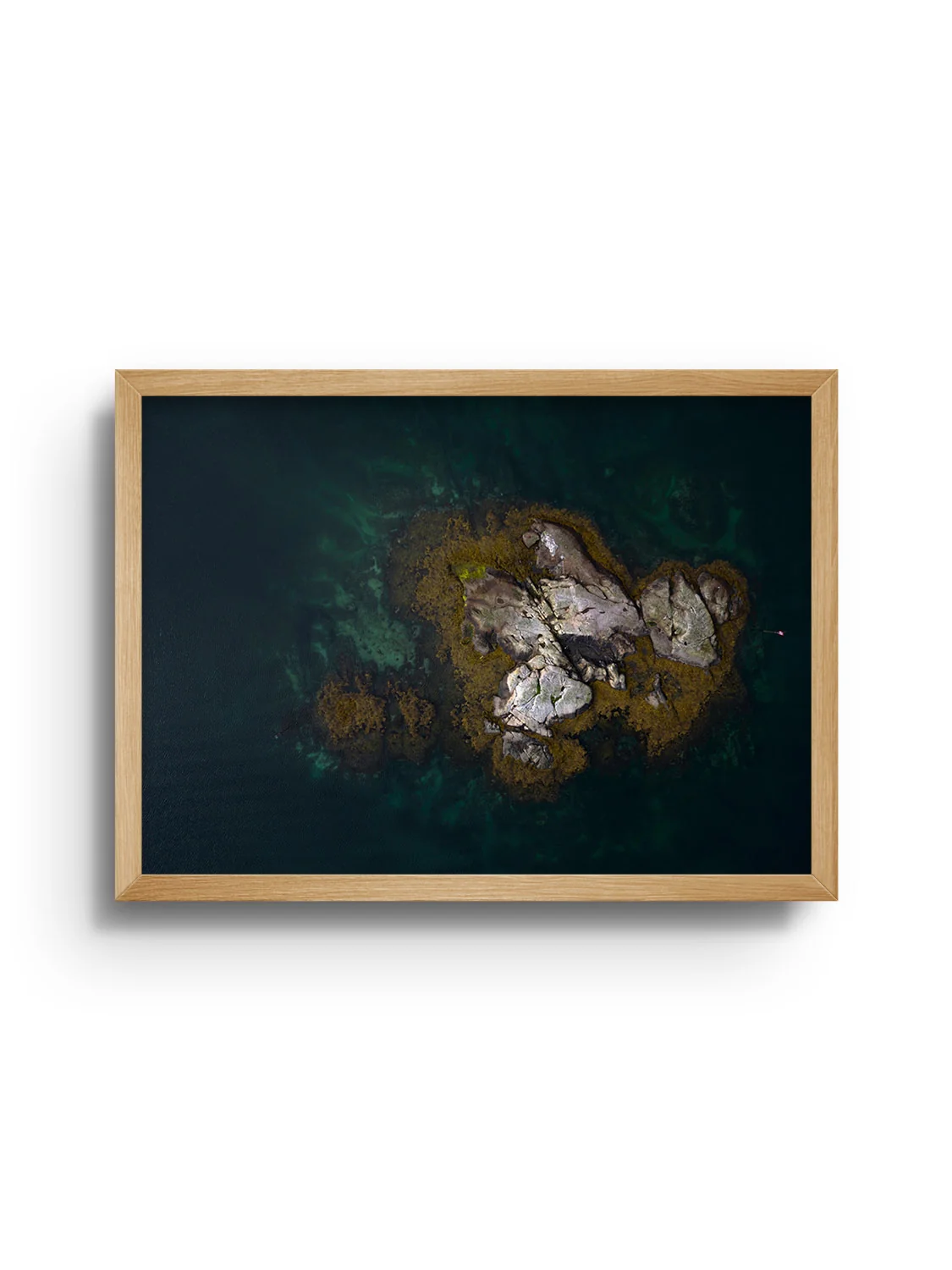 Reine II - Victoria Benjafield - Image 9
