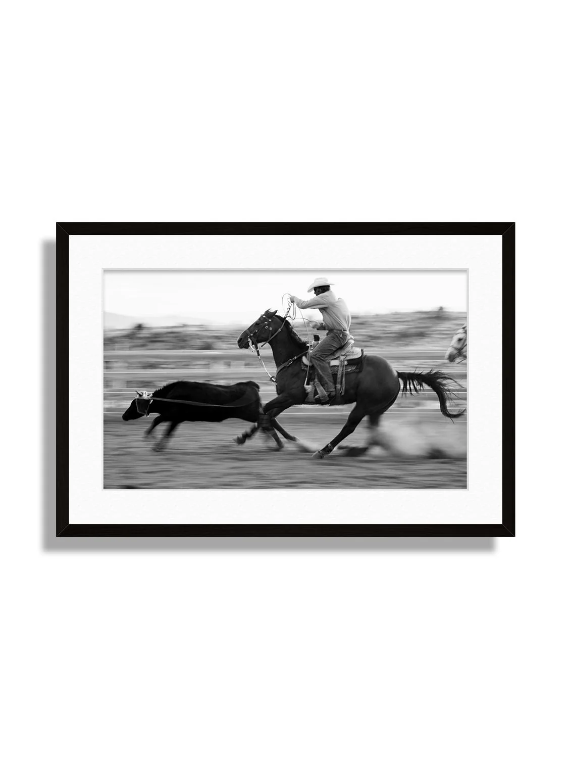 Roping - Michael Potter