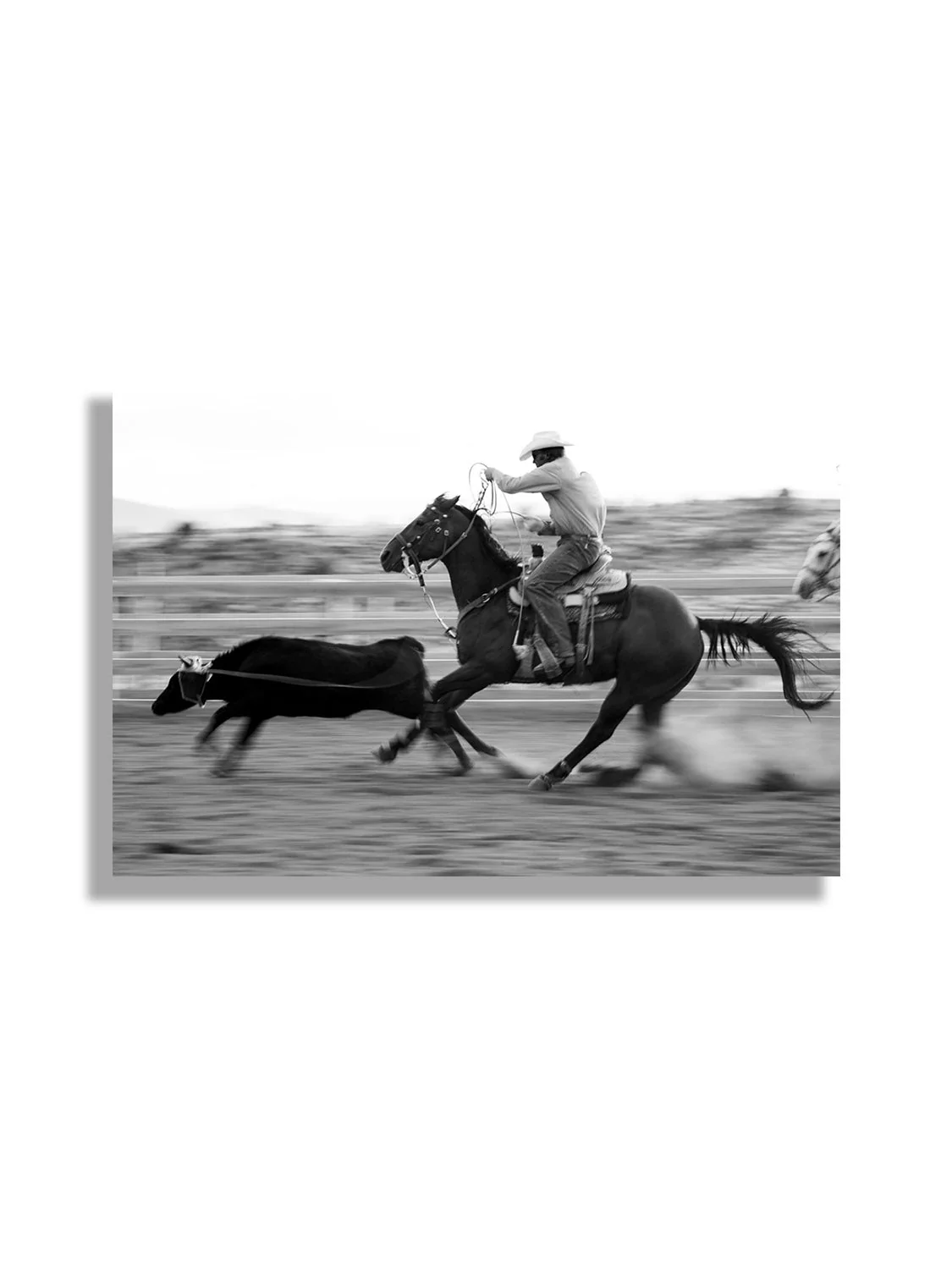 Roping - Michael Potter - Image 5